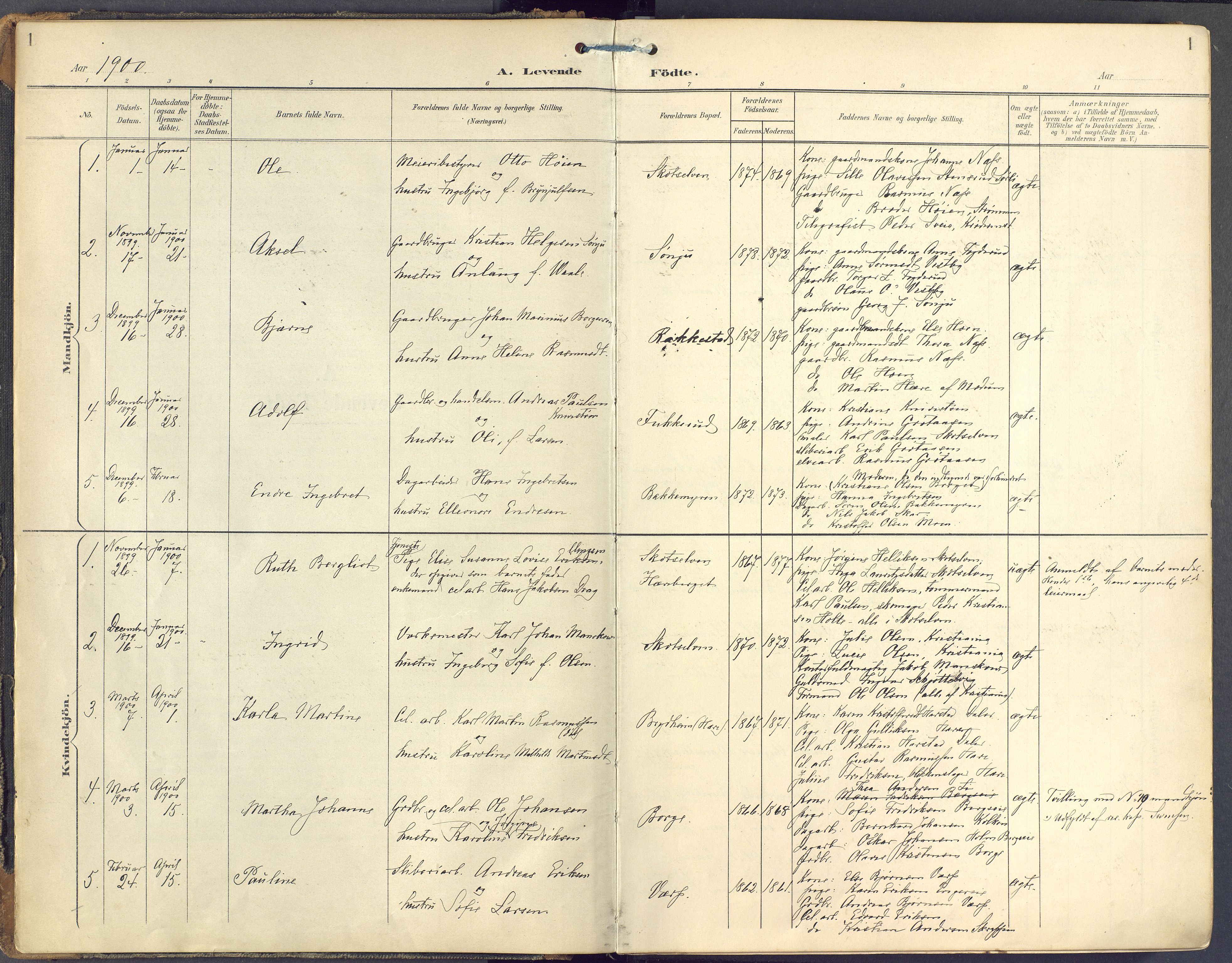 Eiker kirkebøker, SAKO/A-4/F/Fc/L0004: Parish register (official) no. III 4, 1900-1919, p. 1