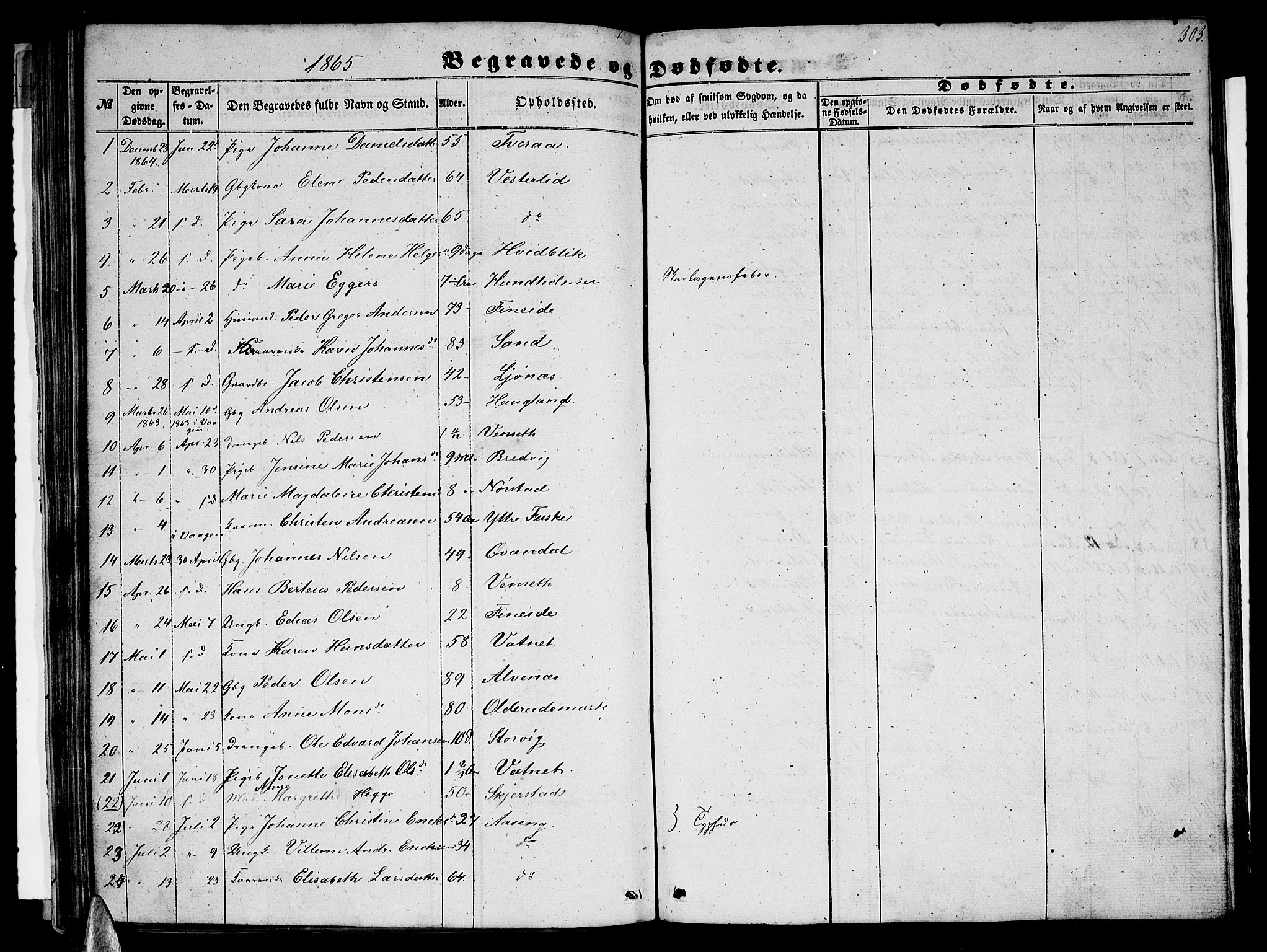 Ministerialprotokoller, klokkerbøker og fødselsregistre - Nordland, AV/SAT-A-1459/852/L0753: Parish register (copy) no. 852C04, 1856-1877, p. 303