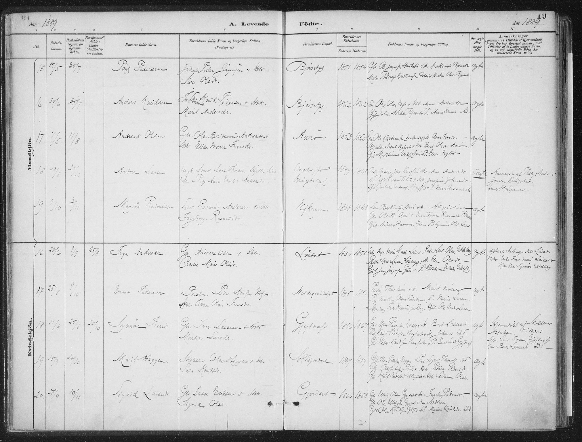 Ministerialprotokoller, klokkerbøker og fødselsregistre - Møre og Romsdal, AV/SAT-A-1454/555/L0658: Parish register (official) no. 555A09, 1887-1917, p. 19