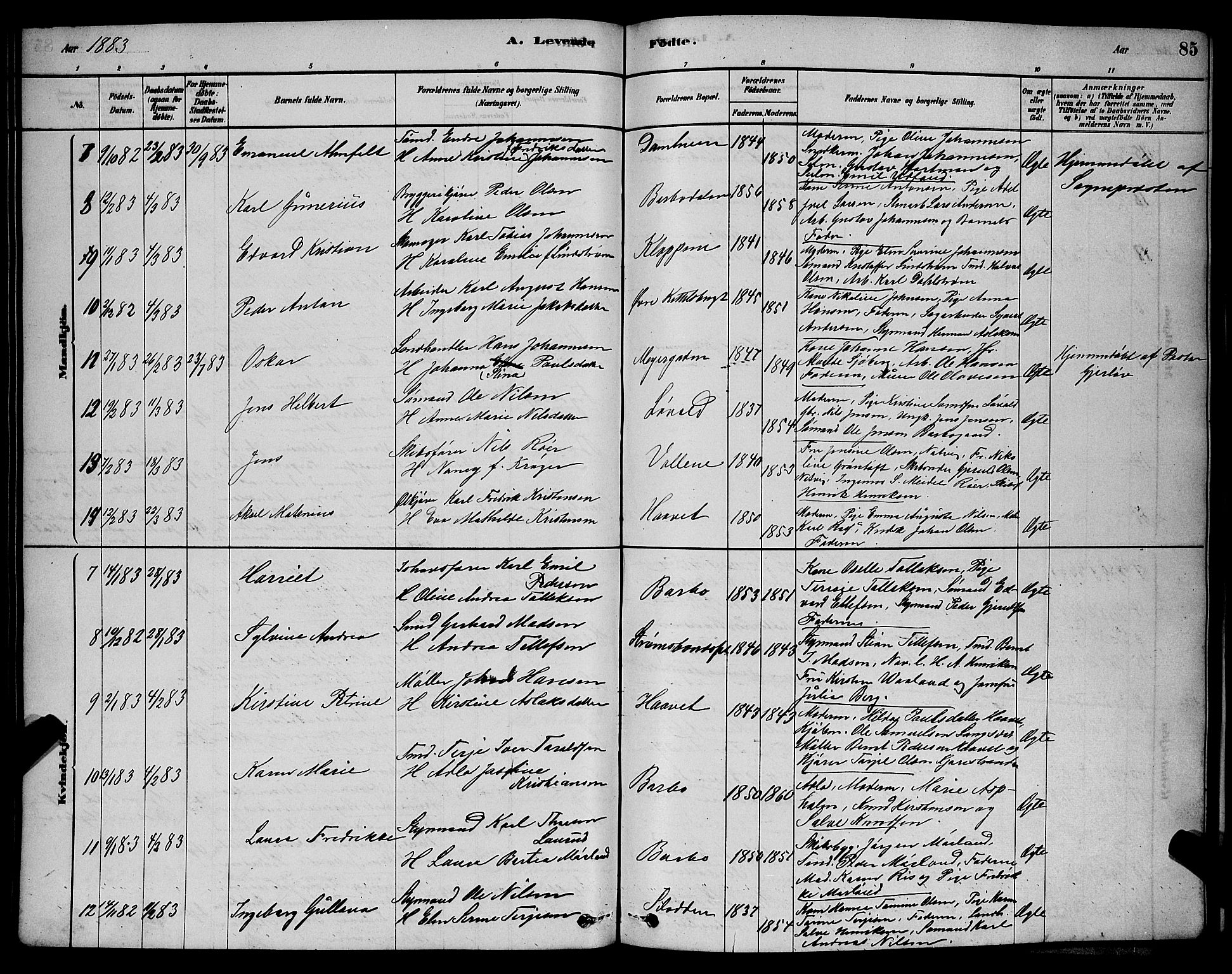 Barbu sokneprestkontor, AV/SAK-1111-0003/F/Fb/L0001: Parish register (copy) no. B 1, 1878-1890, p. 85