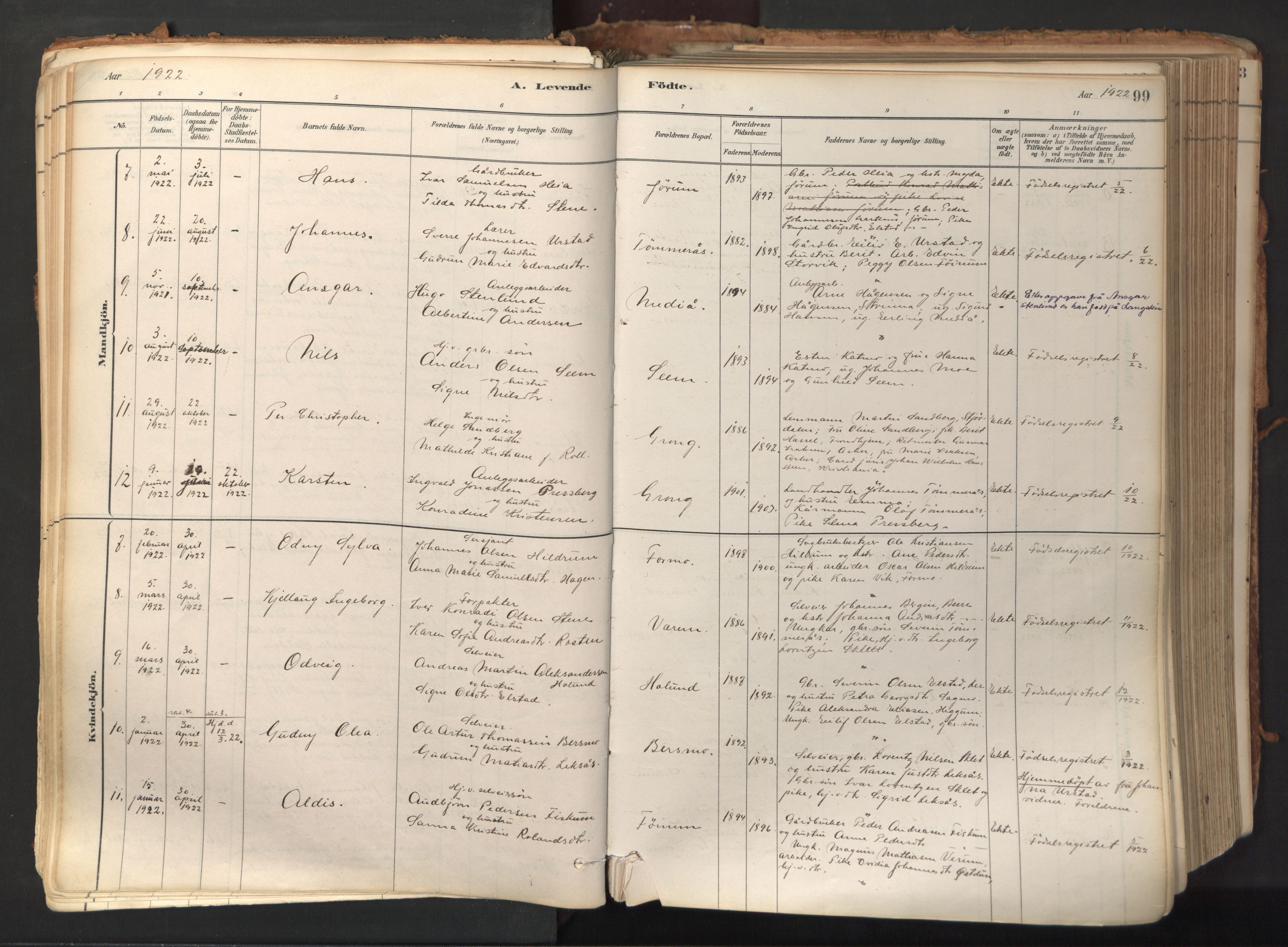 Ministerialprotokoller, klokkerbøker og fødselsregistre - Nord-Trøndelag, SAT/A-1458/758/L0519: Parish register (official) no. 758A04, 1880-1926, p. 99