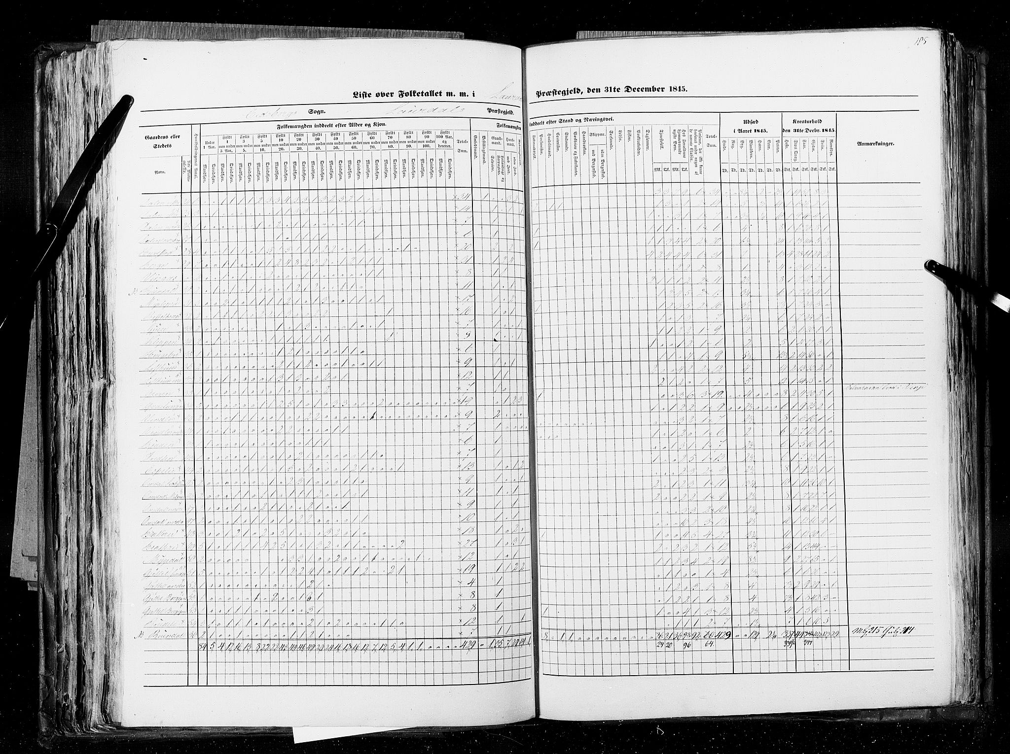 RA, Census 1845, vol. 5: Bratsberg amt og Nedenes og Råbyggelaget amt, 1845, p. 185