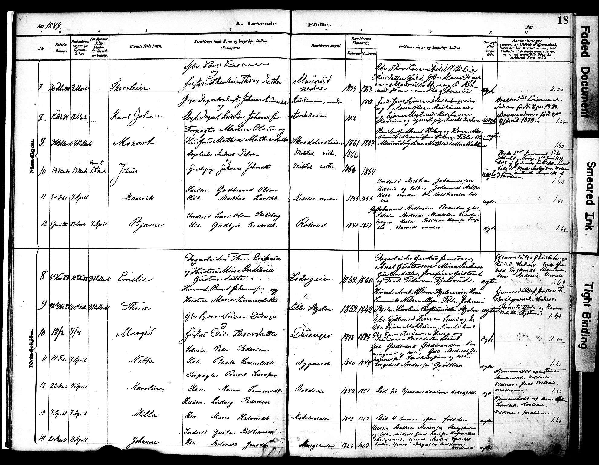 Nes prestekontor, Hedmark, SAH/PREST-020/K/Ka/L0009: Parish register (official) no. 9, 1887-1905, p. 18