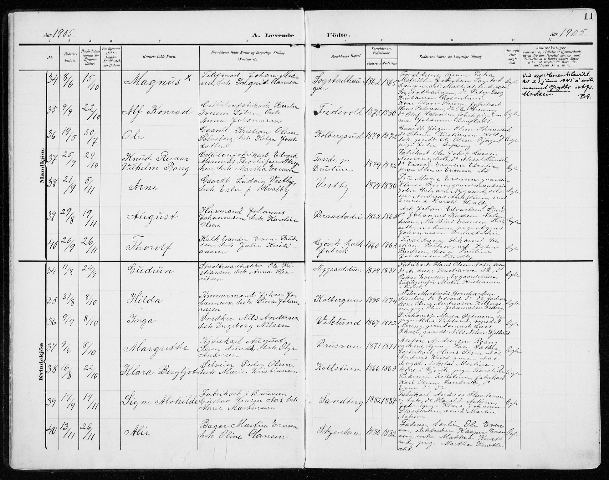 Vardal prestekontor, AV/SAH-PREST-100/H/Ha/Haa/L0016: Parish register (official) no. 16, 1904-1916, p. 11