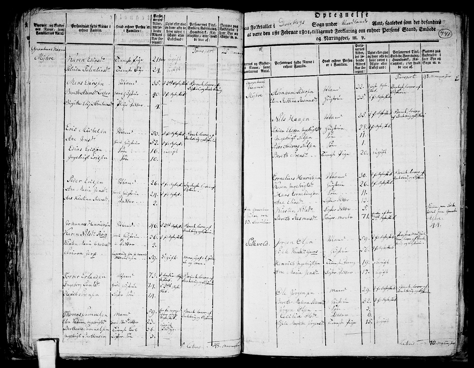 RA, 1801 census for 1872P Dverberg, 1801, p. 740b-741a