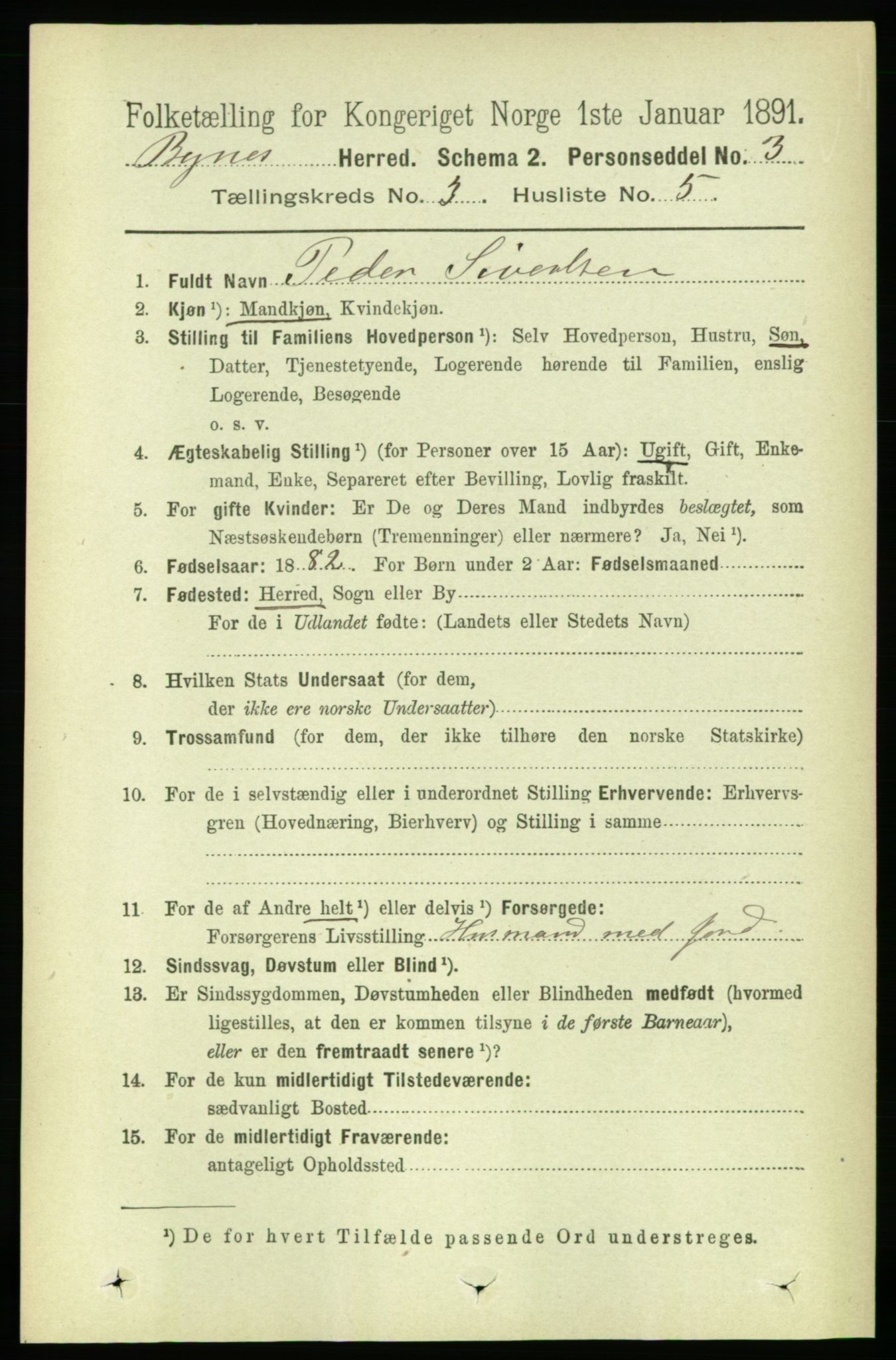 RA, 1891 census for 1655 Byneset, 1891, p. 1312