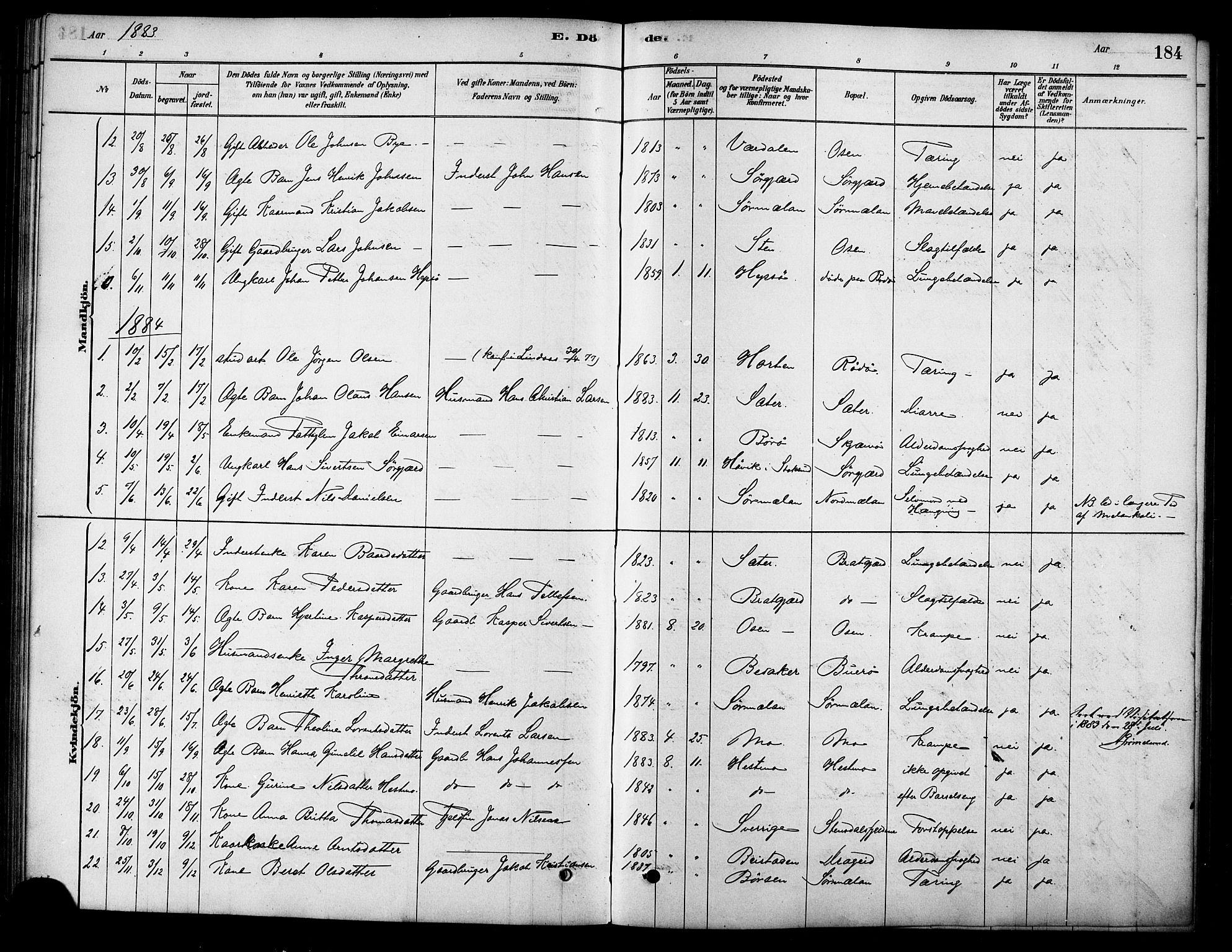 Ministerialprotokoller, klokkerbøker og fødselsregistre - Sør-Trøndelag, SAT/A-1456/658/L0722: Parish register (official) no. 658A01, 1879-1896, p. 184
