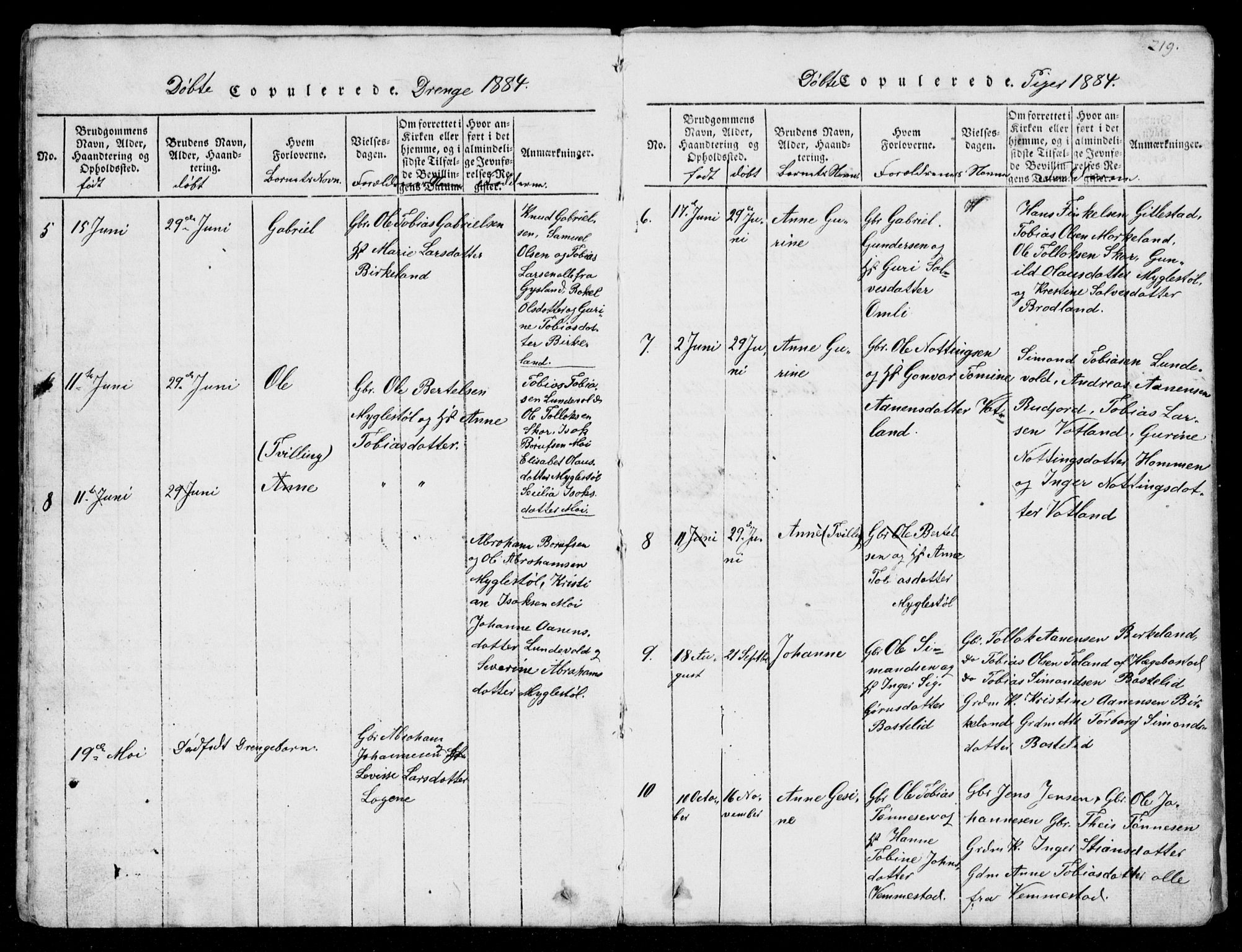 Lyngdal sokneprestkontor, AV/SAK-1111-0029/F/Fb/Fbb/L0001: Parish register (copy) no. B 1, 1816-1900, p. 219