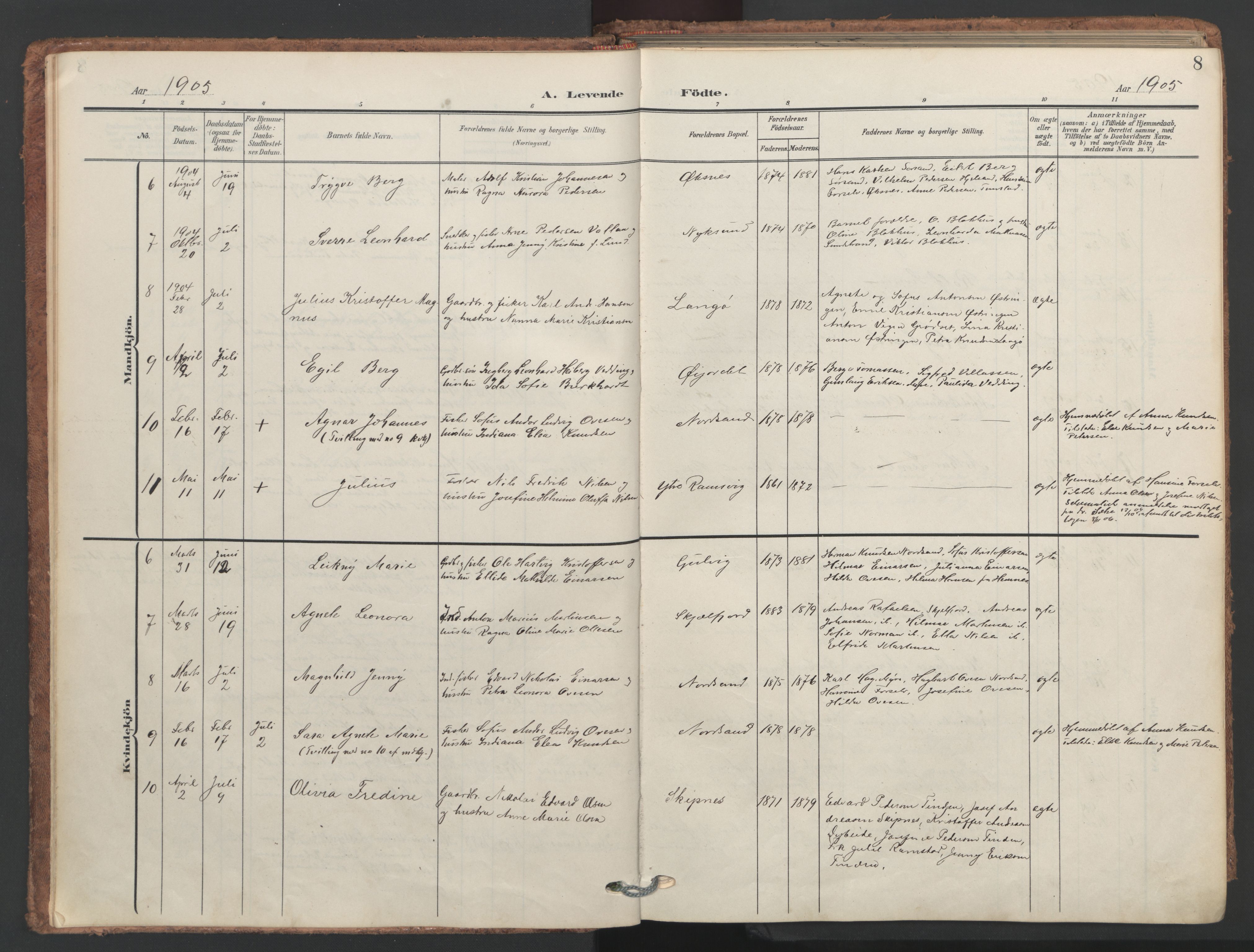 Ministerialprotokoller, klokkerbøker og fødselsregistre - Nordland, SAT/A-1459/893/L1339: Parish register (official) no. 893A11, 1904-1914, p. 8