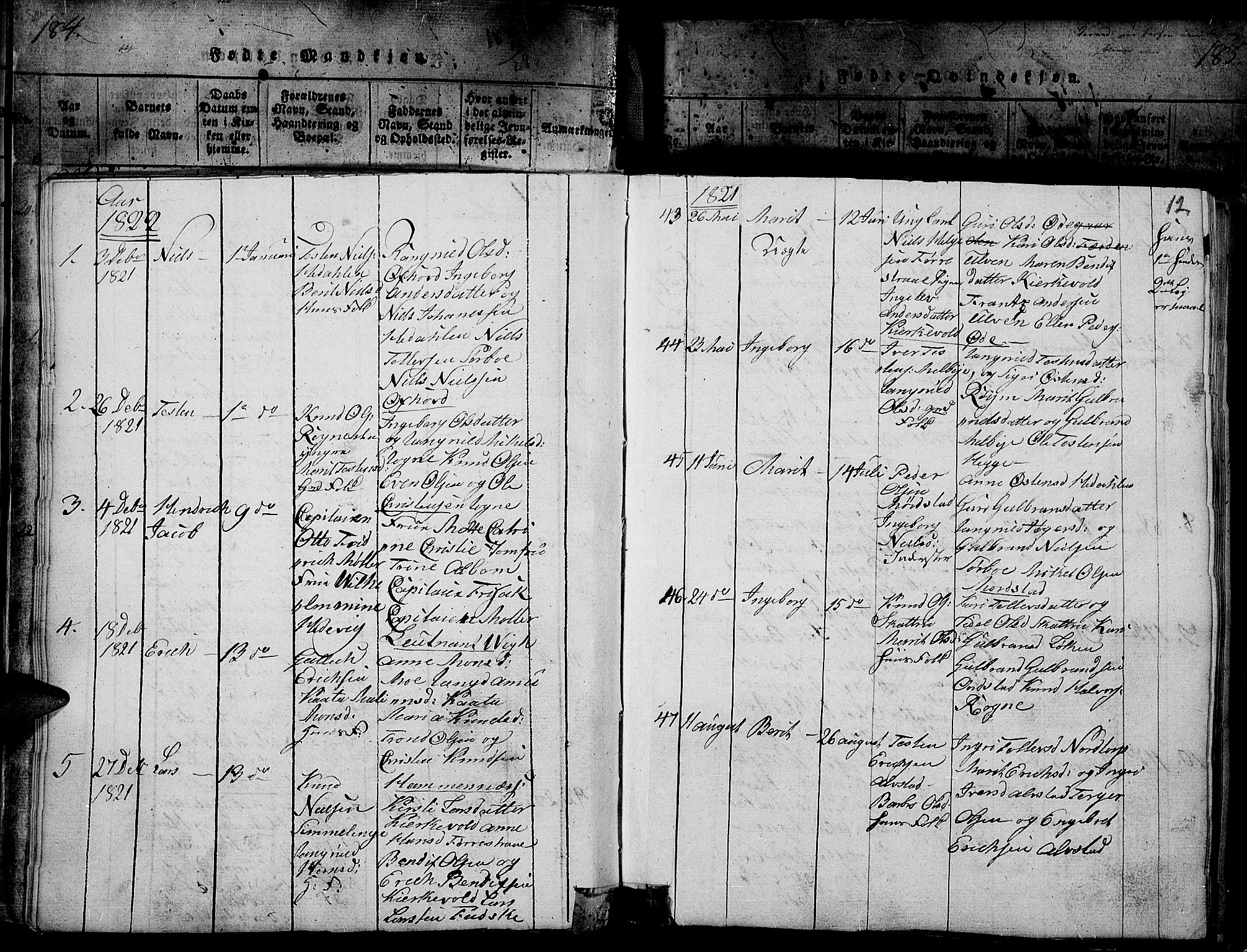 Slidre prestekontor, SAH/PREST-134/H/Ha/Haa/L0002: Parish register (official) no. 2, 1814-1830, p. 184l