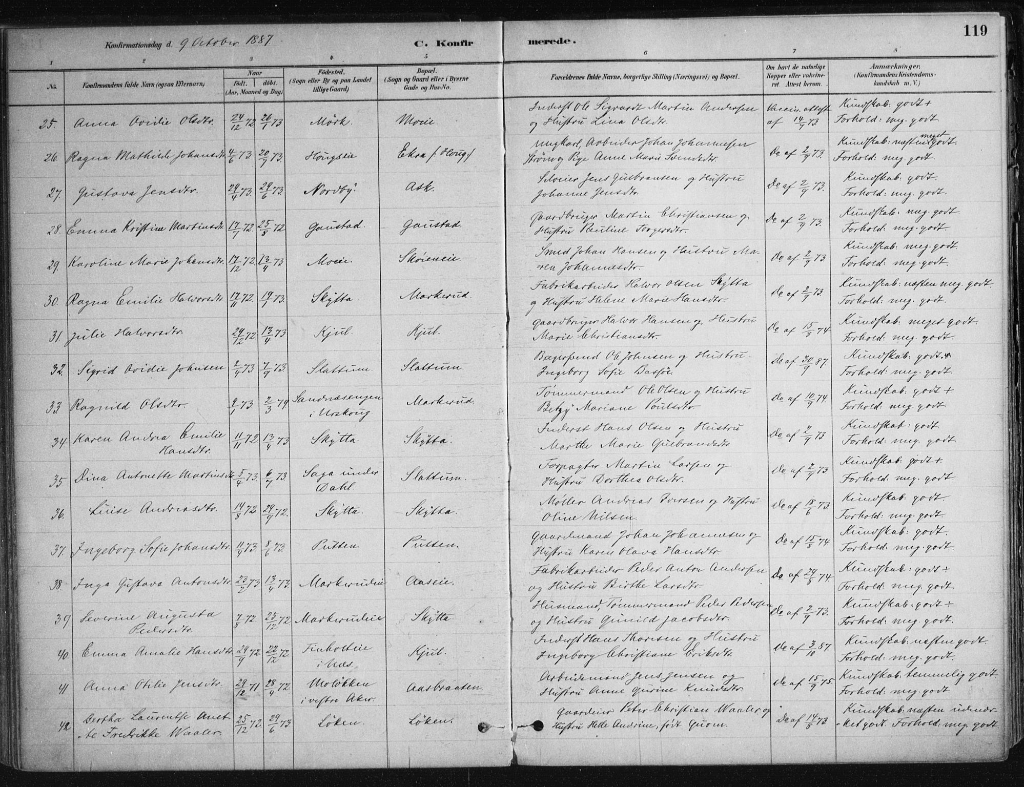 Nittedal prestekontor Kirkebøker, SAO/A-10365a/F/Fa/L0007: Parish register (official) no. I 7, 1879-1901, p. 119