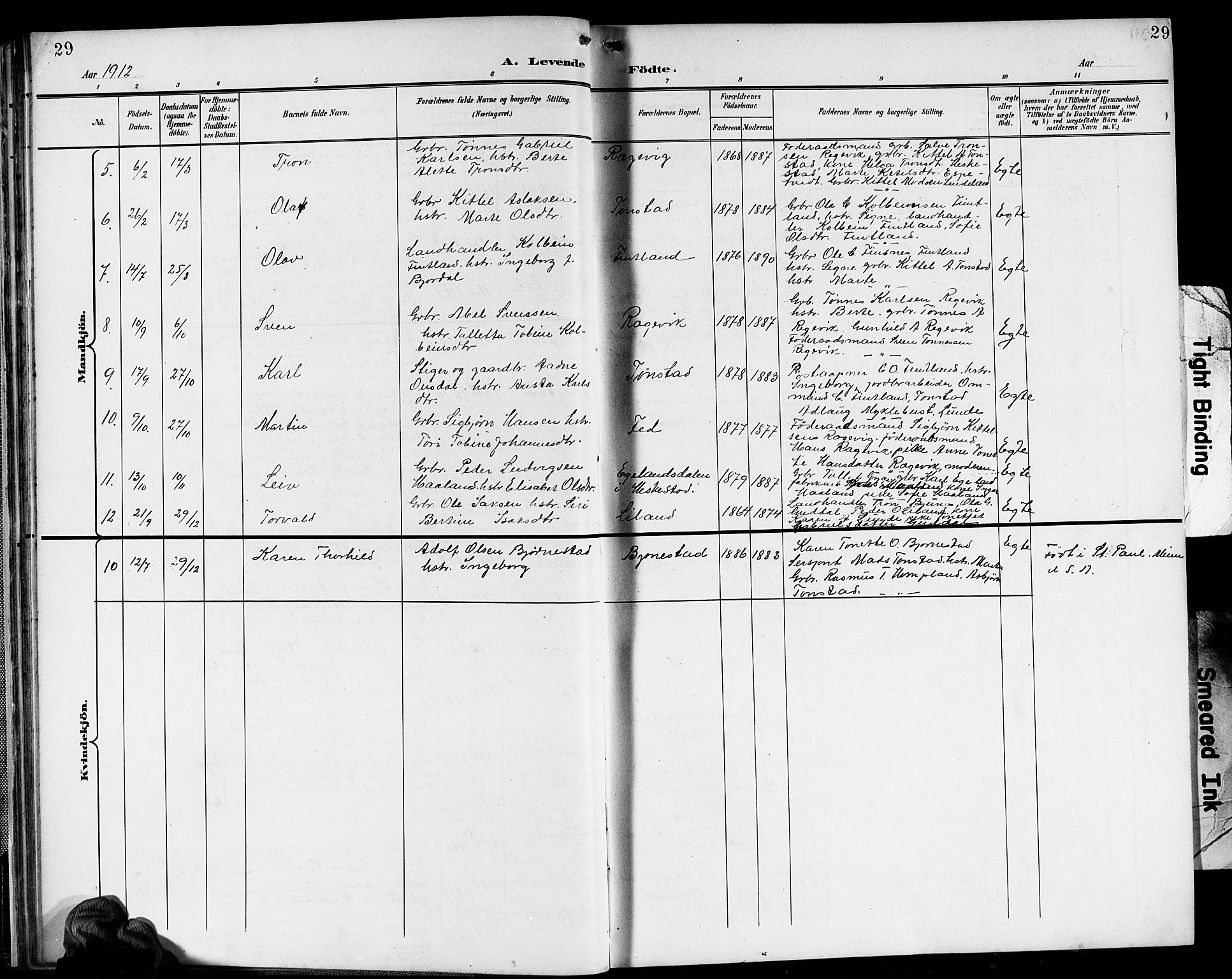 Sirdal sokneprestkontor, SAK/1111-0036/F/Fb/Fbb/L0004: Parish register (copy) no. B 4, 1895-1916, p. 29