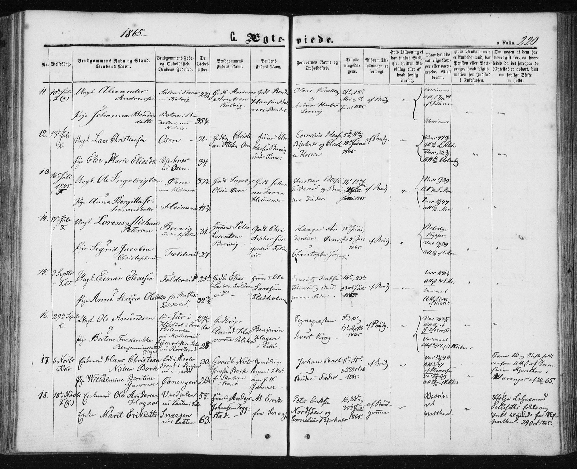 Ministerialprotokoller, klokkerbøker og fødselsregistre - Nord-Trøndelag, SAT/A-1458/780/L0641: Parish register (official) no. 780A06, 1857-1874, p. 220