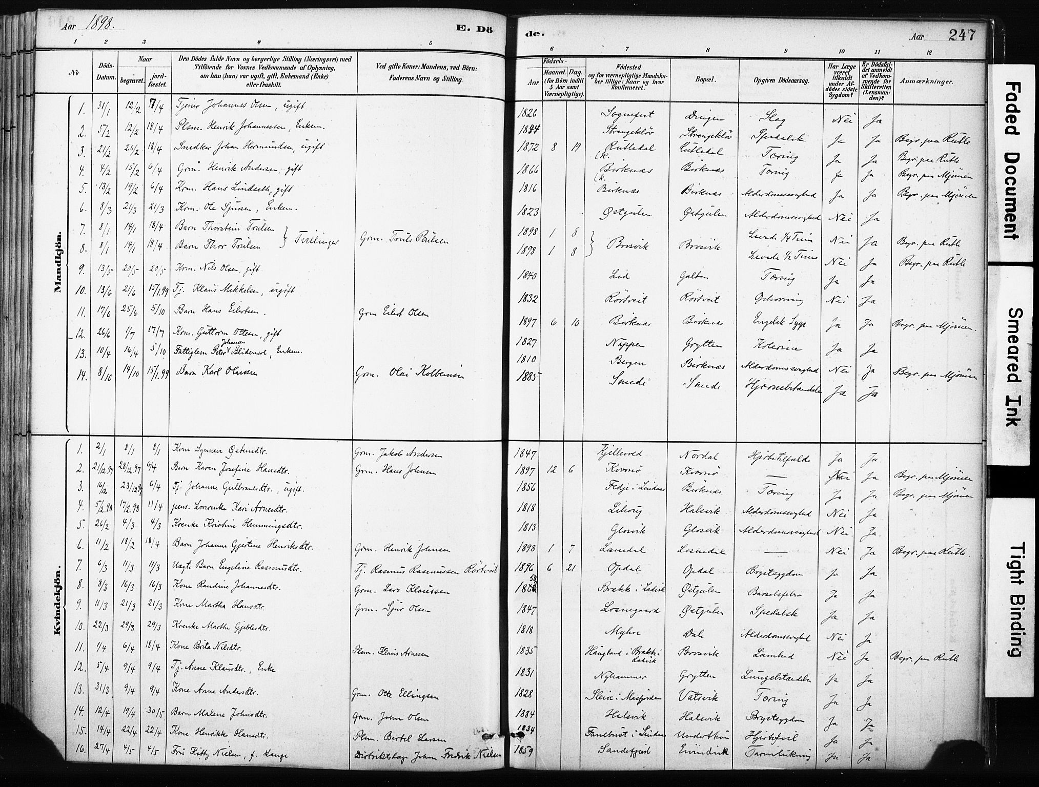 Gulen sokneprestembete, SAB/A-80201/H/Haa/Haab/L0001: Parish register (official) no. B 1, 1881-1905, p. 247