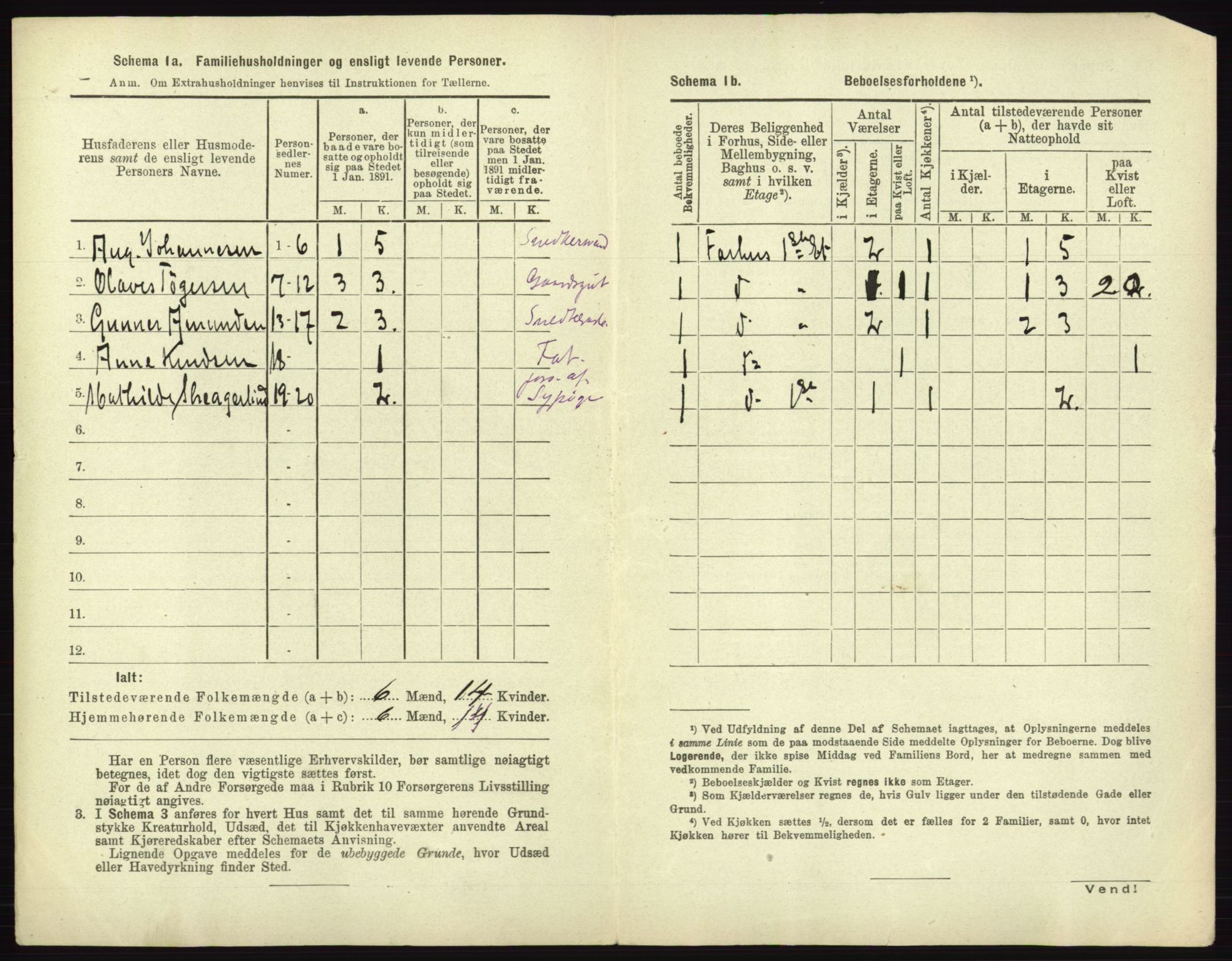 RA, 1891 census for 0101 Fredrikshald, 1891, p. 991