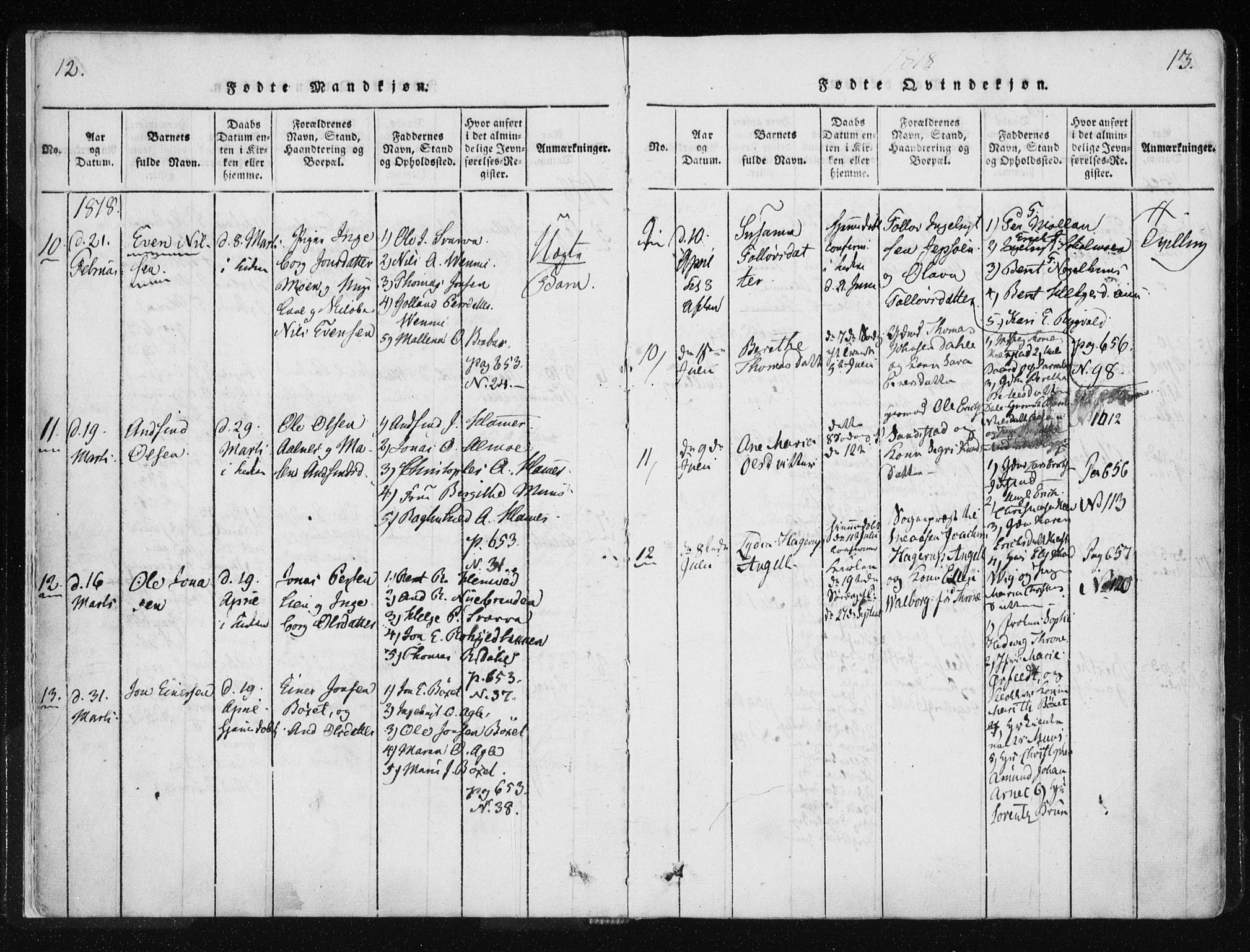 Ministerialprotokoller, klokkerbøker og fødselsregistre - Nord-Trøndelag, SAT/A-1458/749/L0469: Parish register (official) no. 749A03, 1817-1857, p. 12-13