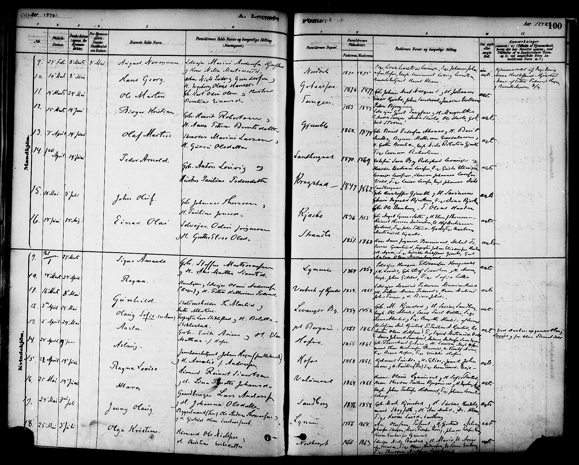 Ministerialprotokoller, klokkerbøker og fødselsregistre - Nord-Trøndelag, SAT/A-1458/717/L0159: Parish register (official) no. 717A09, 1878-1898, p. 100
