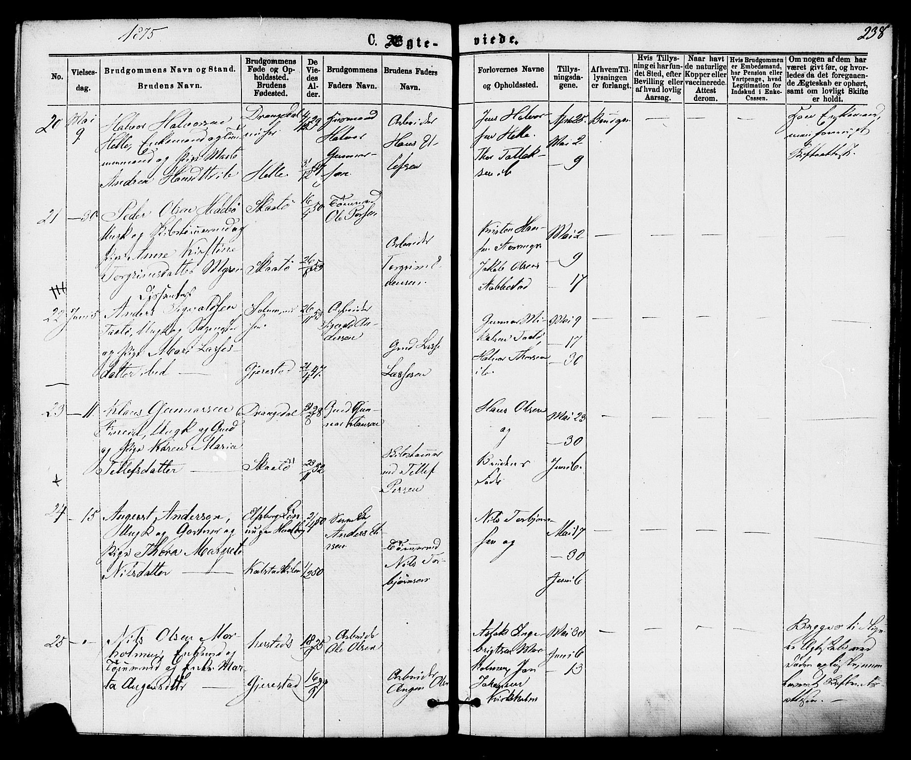 Skåtøy kirkebøker, AV/SAKO-A-304/F/Fa/L0001: Parish register (official) no. I 1, 1874-1883, p. 238