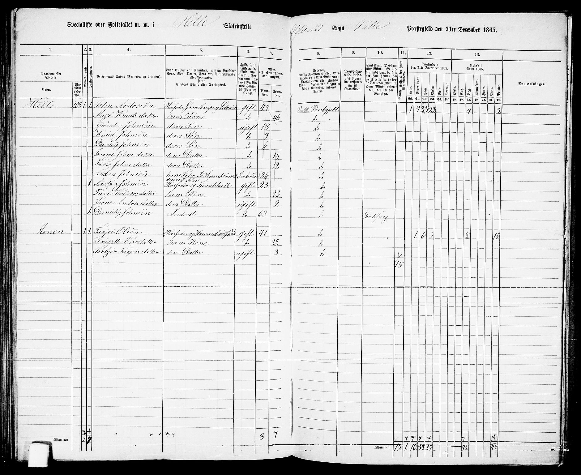 RA, 1865 census for Valle, 1865, p. 136