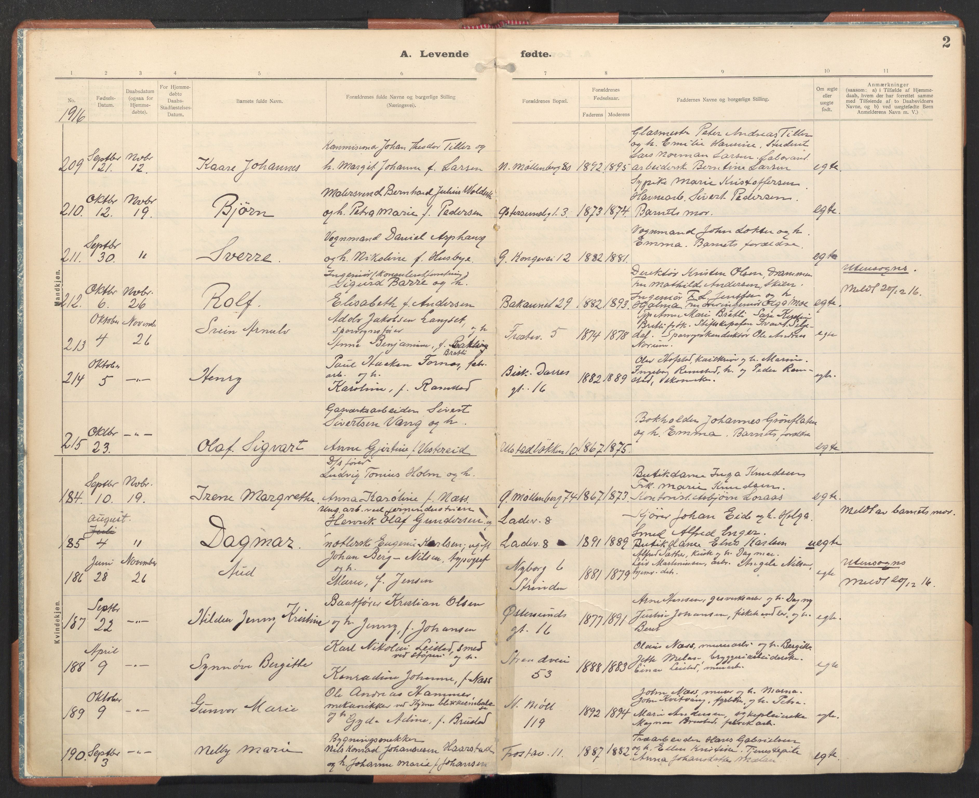 Ministerialprotokoller, klokkerbøker og fødselsregistre - Sør-Trøndelag, SAT/A-1456/605/L0246: Parish register (official) no. 605A08, 1916-1920, p. 2