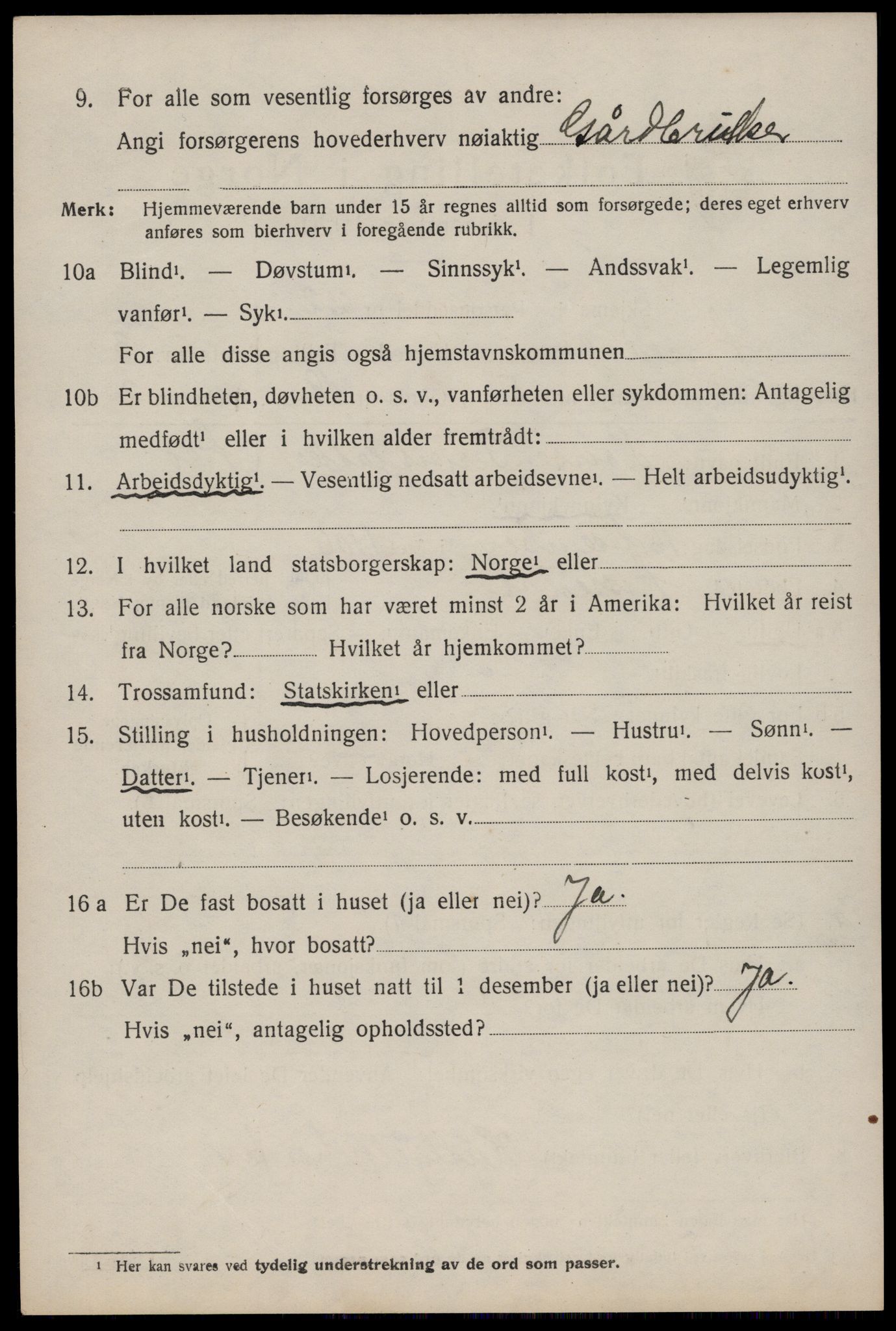 SAKO, 1920 census for Nissedal, 1920, p. 1540