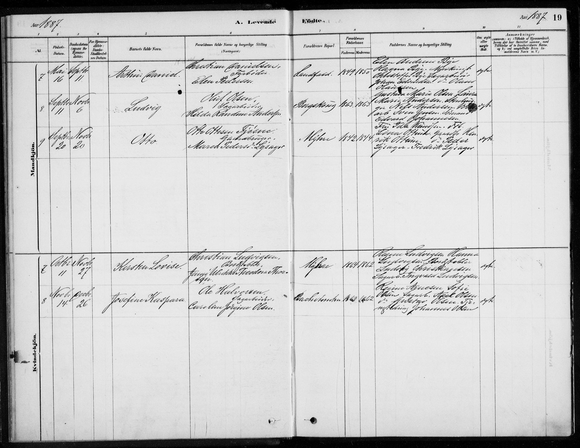 Åssiden kirkebøker, AV/SAKO-A-251/F/Fa/L0001: Parish register (official) no. 1, 1878-1904, p. 19