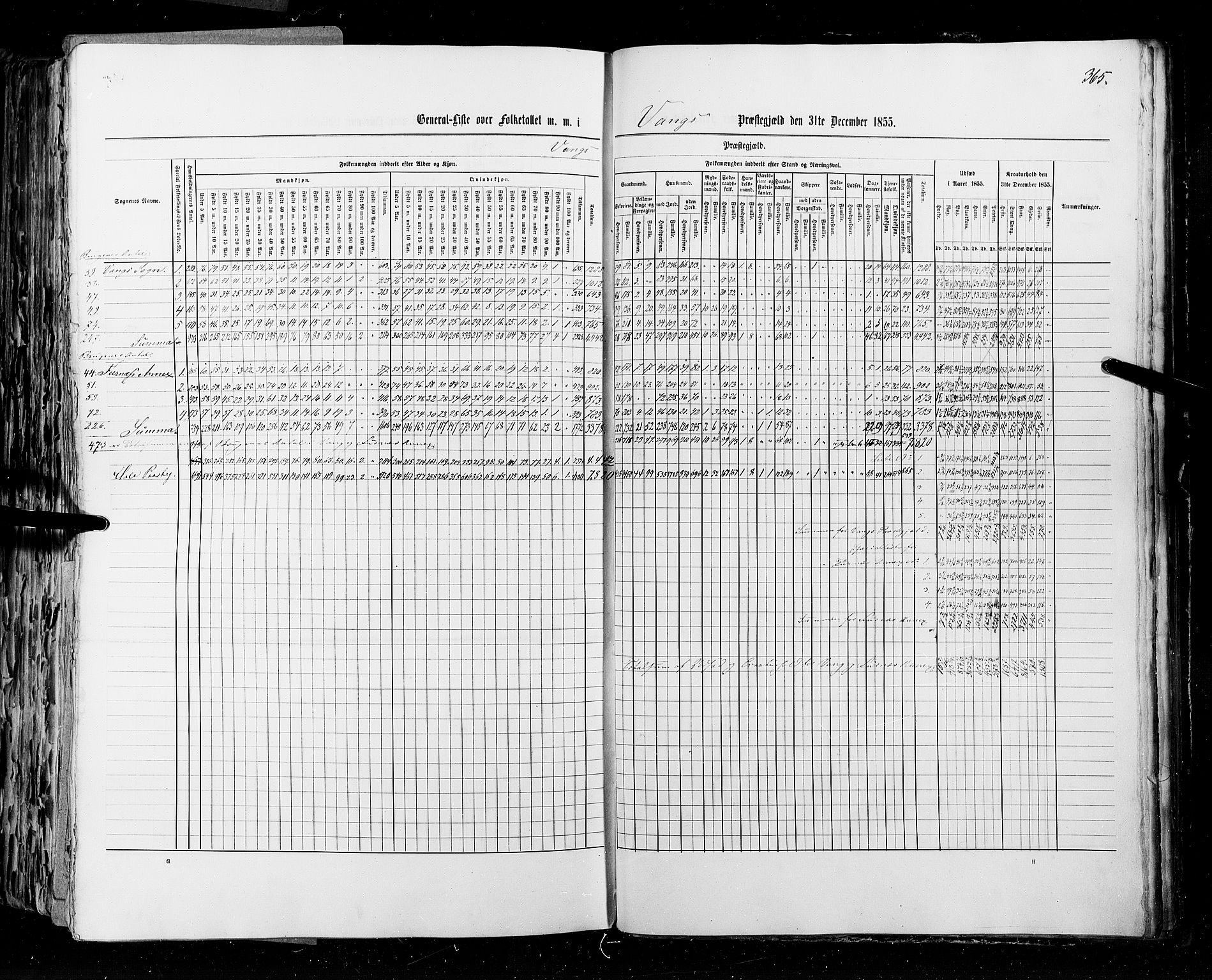 RA, Census 1855, vol. 1: Akershus amt, Smålenenes amt og Hedemarken amt, 1855, p. 365