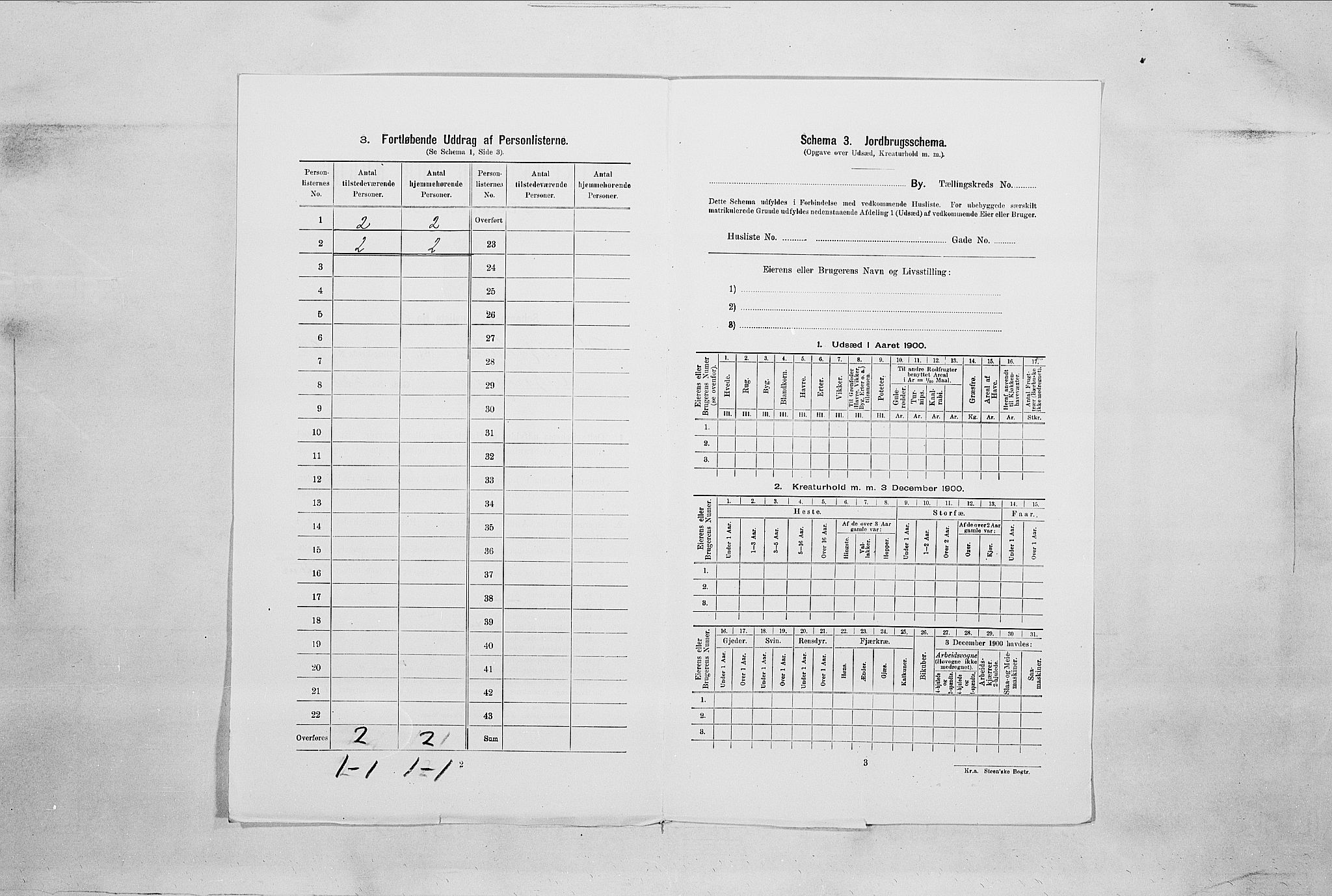 SAO, 1900 census for Fredrikshald, 1900