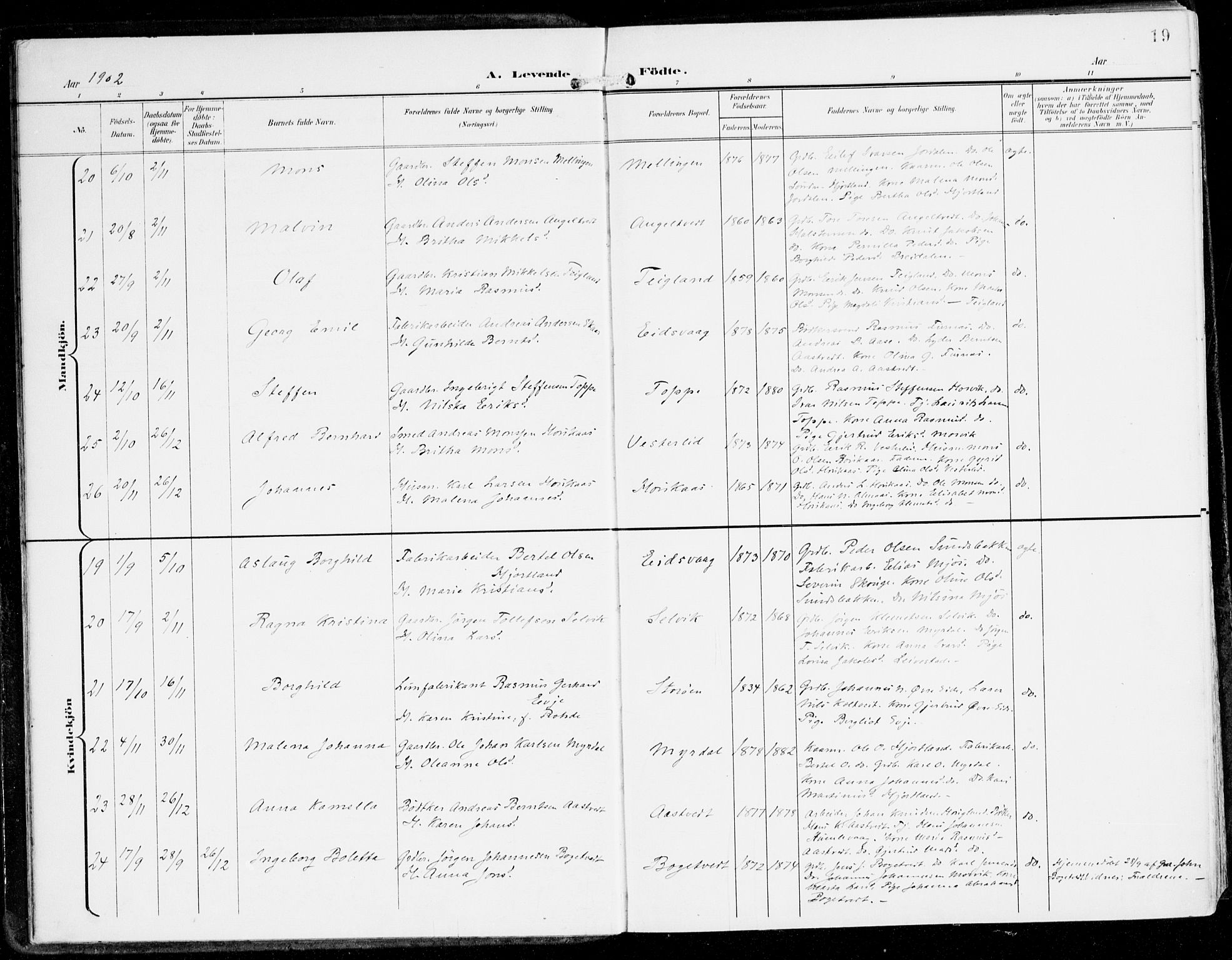 Hamre sokneprestembete, AV/SAB-A-75501/H/Ha/Haa/Haad/L0002: Parish register (official) no. D 2, 1899-1916, p. 19