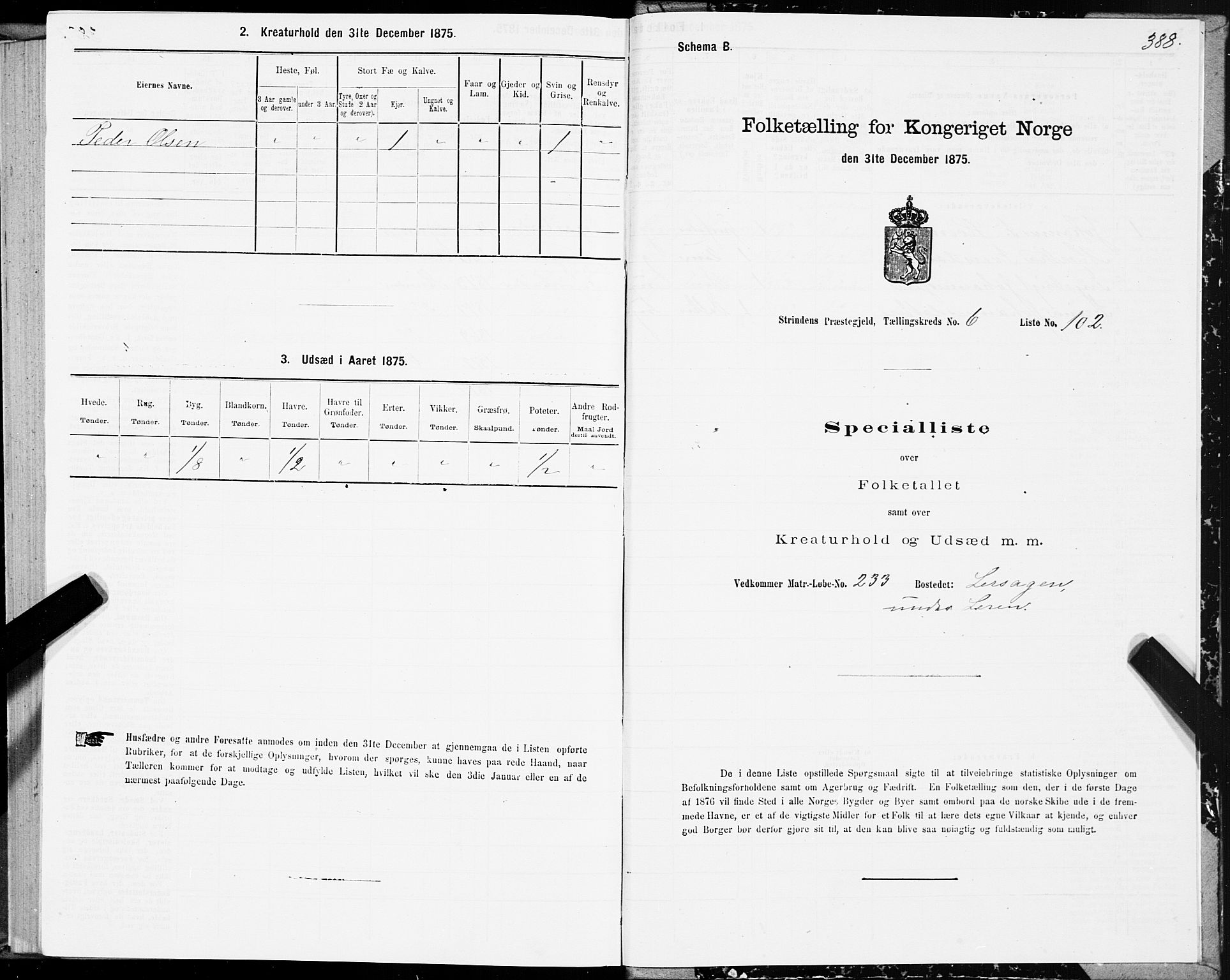 SAT, 1875 census for 1660P Strinda, 1875, p. 3388