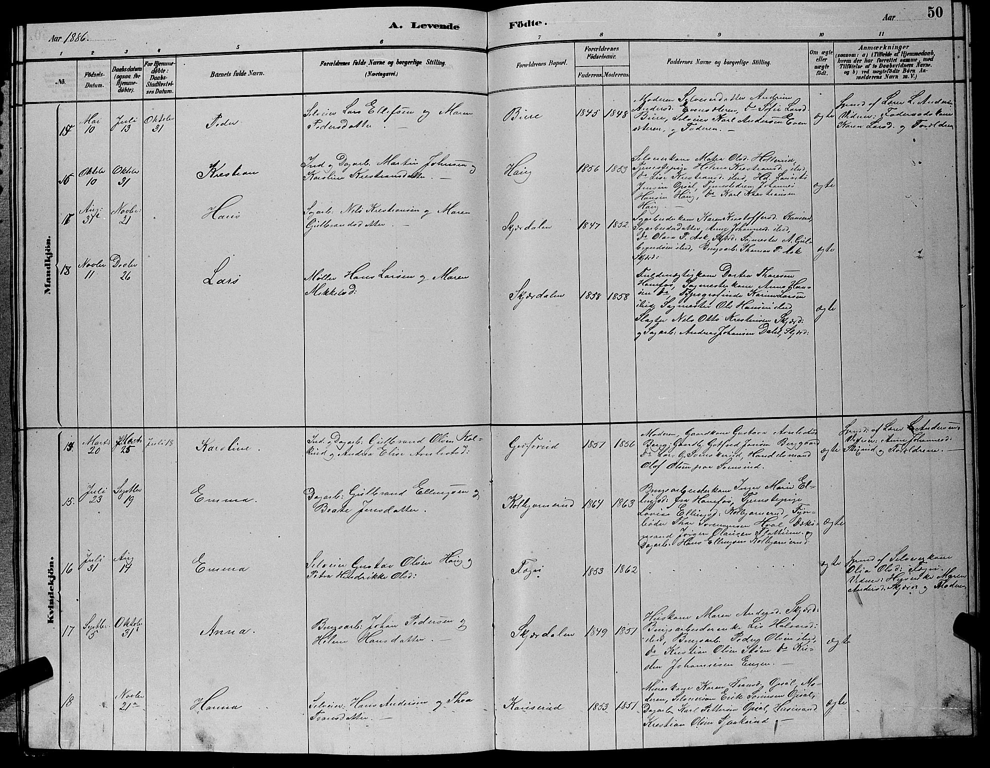 Hole kirkebøker, SAKO/A-228/G/Gb/L0002: Parish register (copy) no. II 2, 1878-1889, p. 50