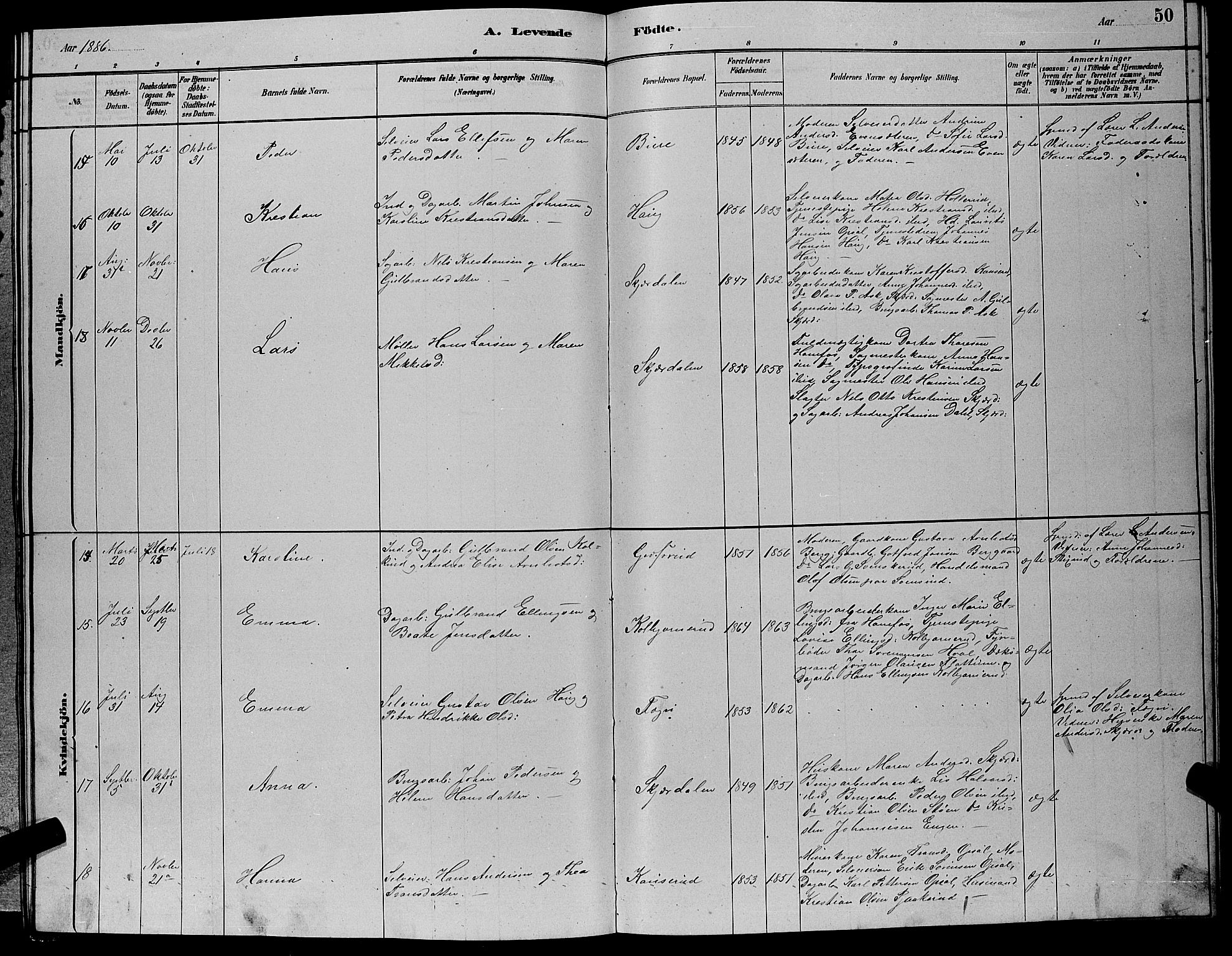 Hole kirkebøker, AV/SAKO-A-228/G/Gb/L0002: Parish register (copy) no. II 2, 1878-1889, p. 50