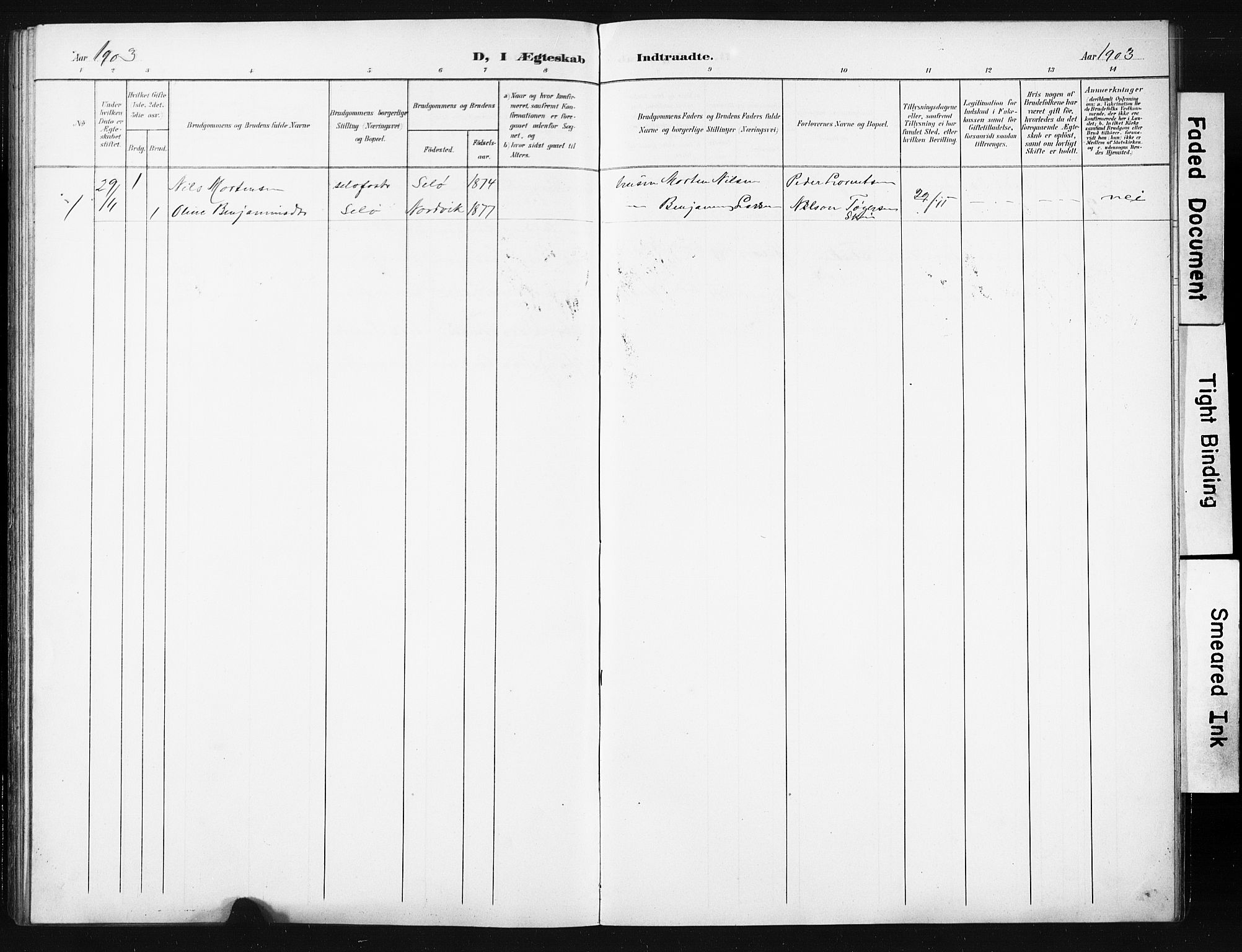 Ministerialprotokoller, klokkerbøker og fødselsregistre - Nordland, AV/SAT-A-1459/836/L0538: Parish register (copy) no. 836C02, 1901-1917