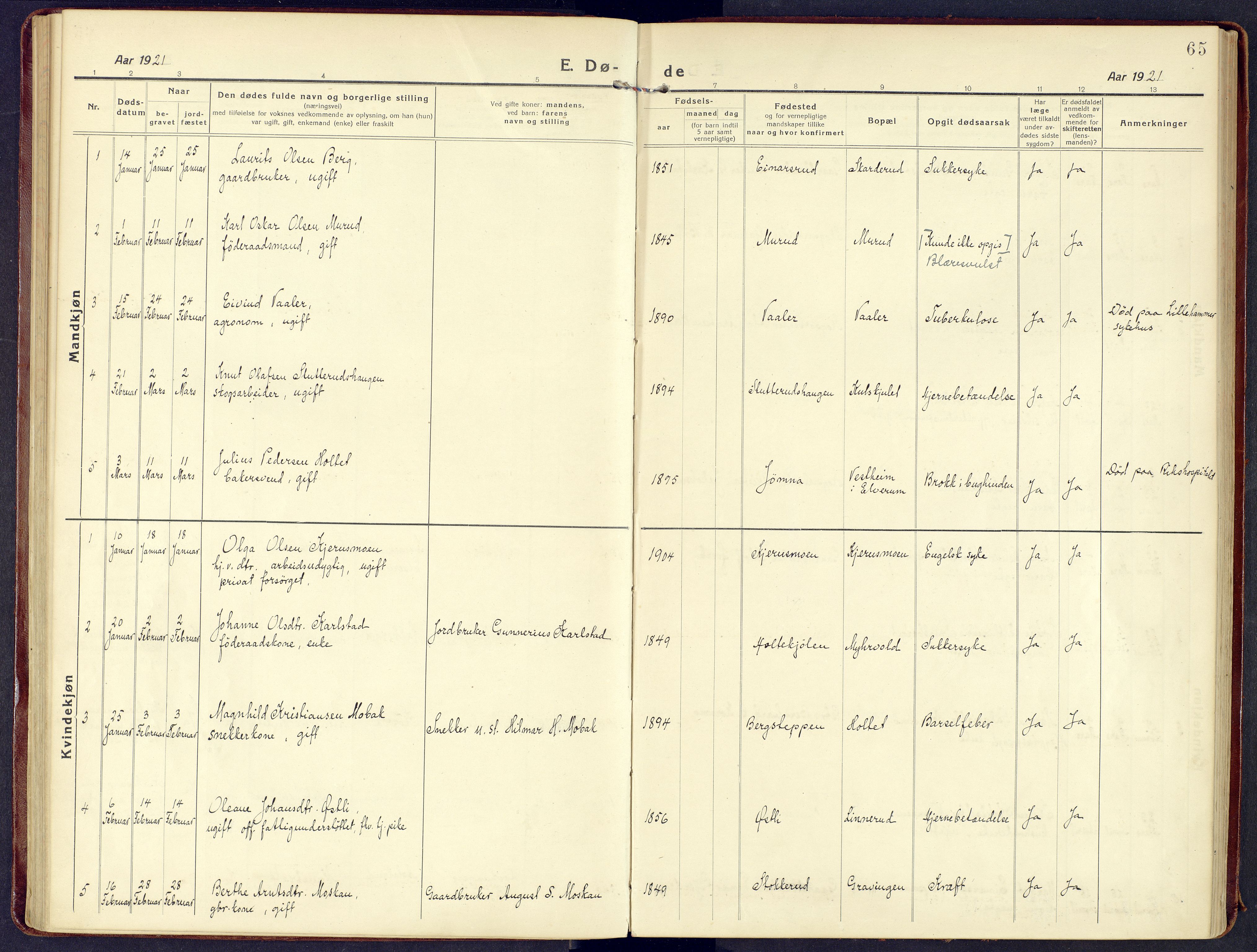 Våler prestekontor, Hedmark, SAH/PREST-040/H/Ha/Haa/L0011: Parish register (official) no. 11, 1919-1933, p. 65