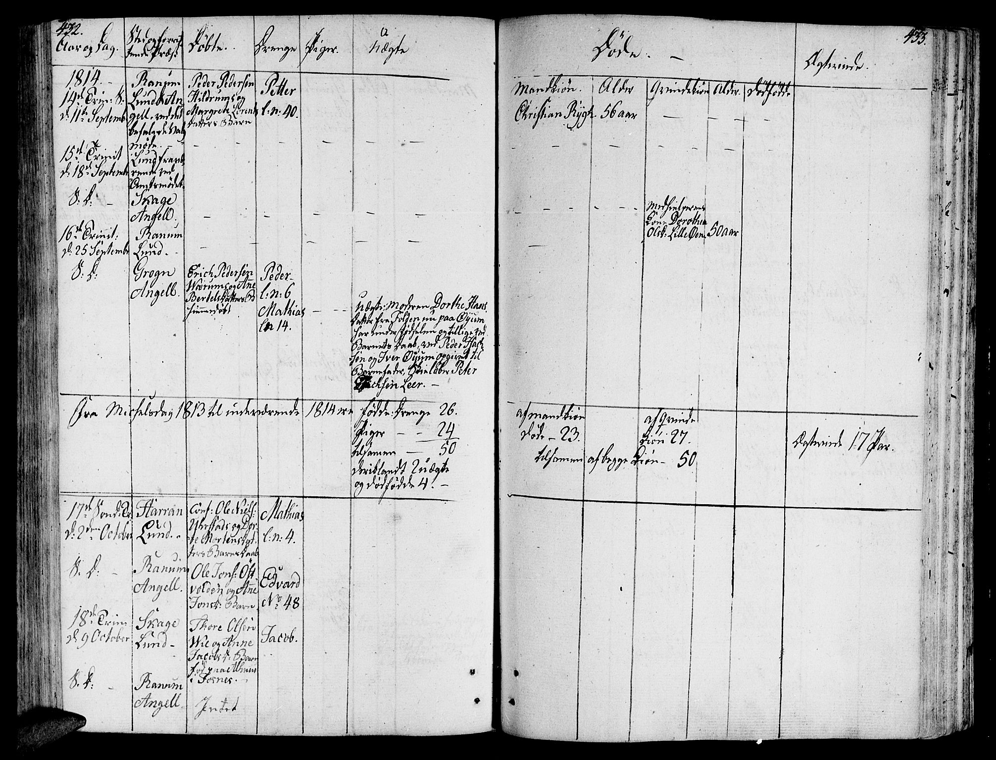Ministerialprotokoller, klokkerbøker og fødselsregistre - Nord-Trøndelag, SAT/A-1458/764/L0545: Parish register (official) no. 764A05, 1799-1816, p. 432-433