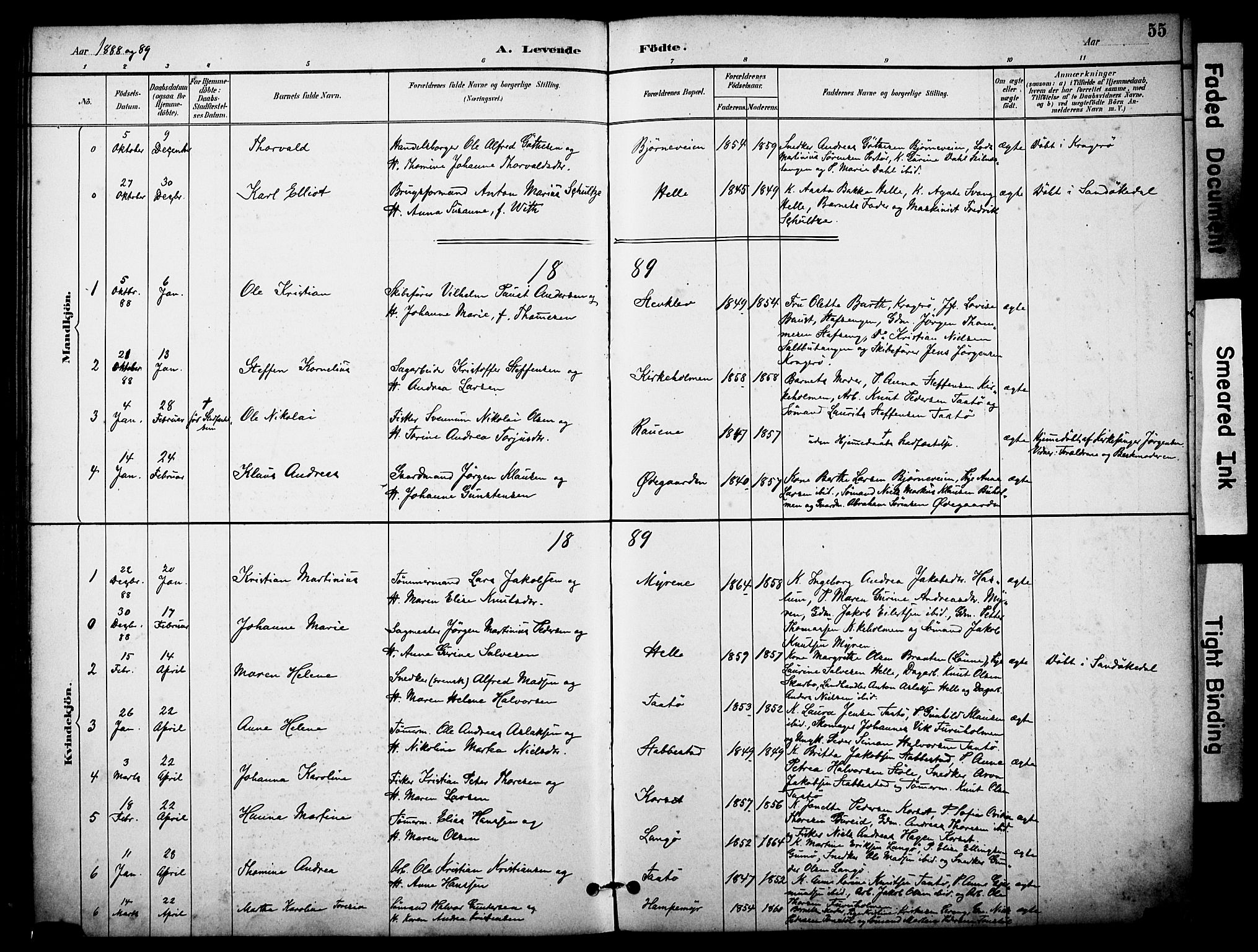 Skåtøy kirkebøker, SAKO/A-304/F/Fa/L0002: Parish register (official) no. I 2, 1884-1899, p. 55