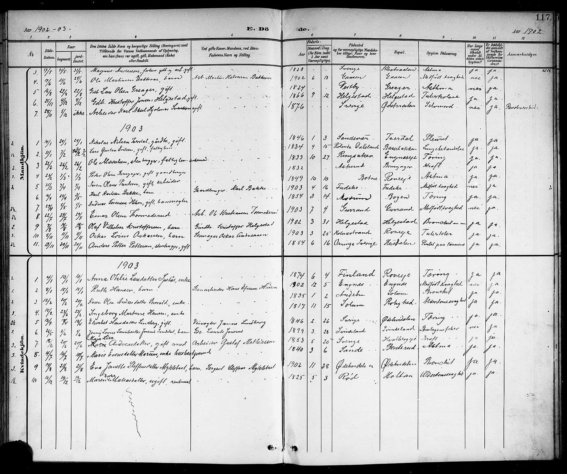 Botne kirkebøker, AV/SAKO-A-340/G/Ga/L0004: Parish register (copy) no. I 4, 1899-1915, p. 117