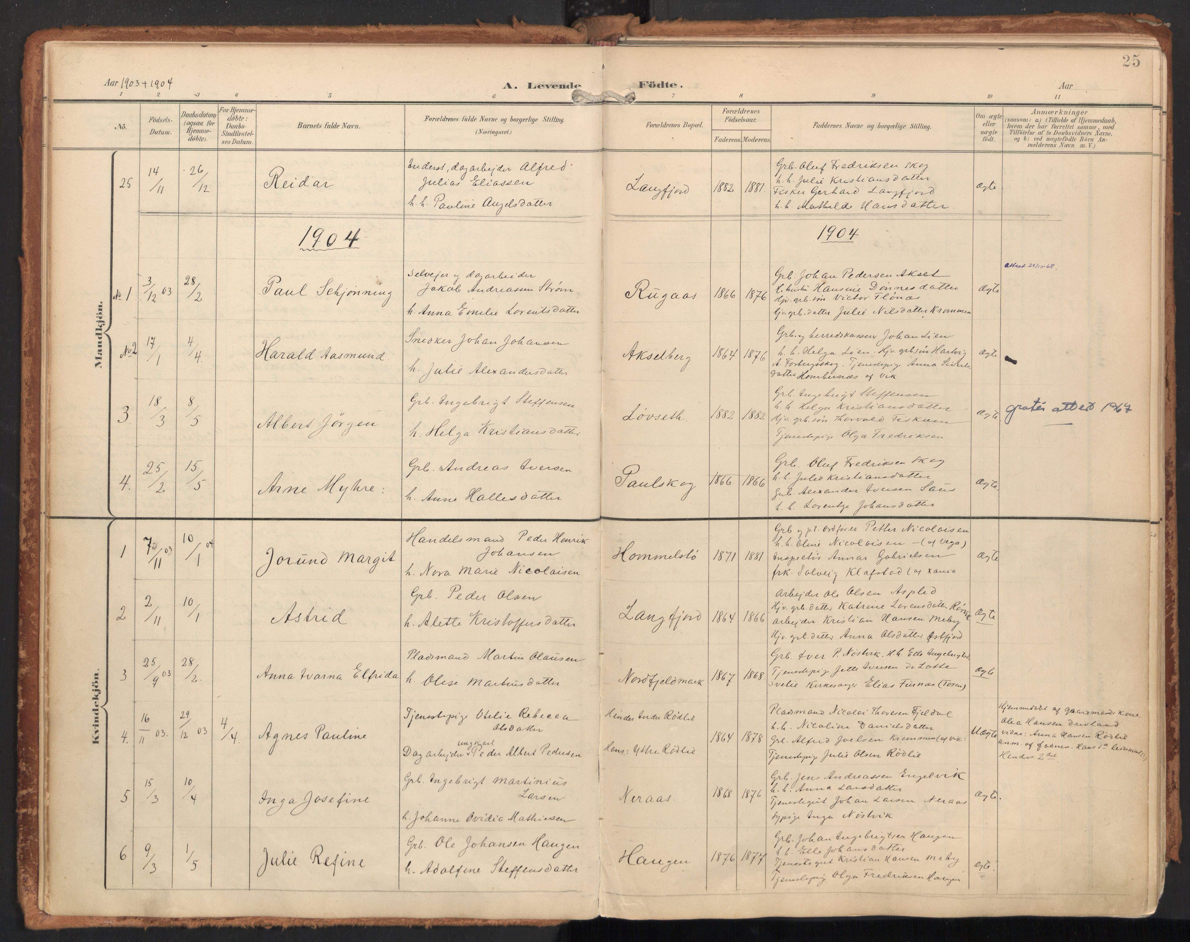Ministerialprotokoller, klokkerbøker og fødselsregistre - Nordland, SAT/A-1459/814/L0227: Parish register (official) no. 814A08, 1899-1920, p. 25