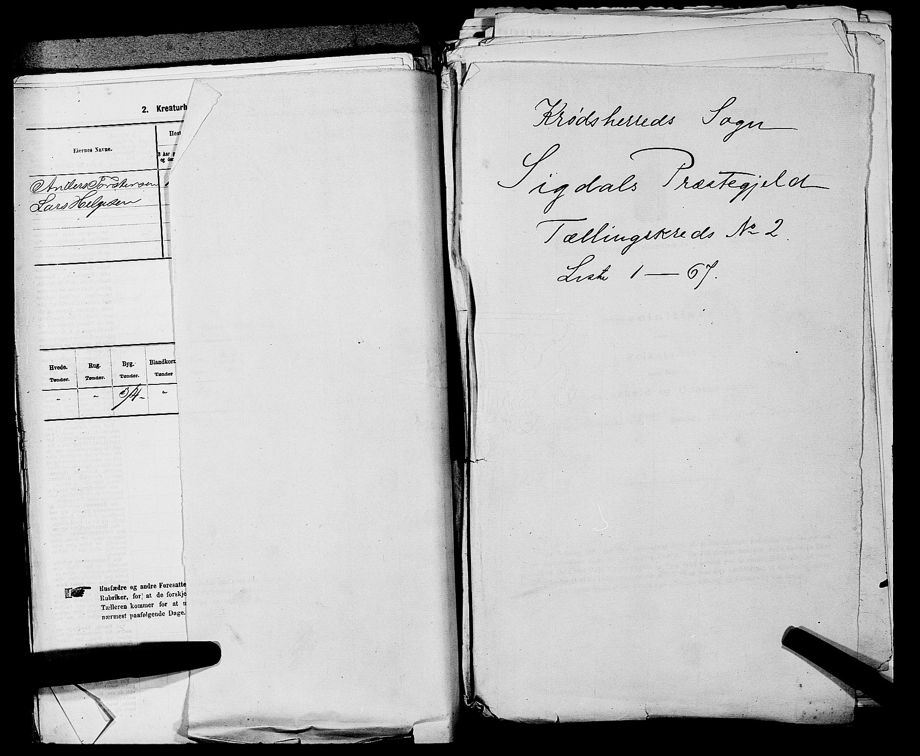 SAKO, 1875 census for 0621P Sigdal, 1875, p. 1339