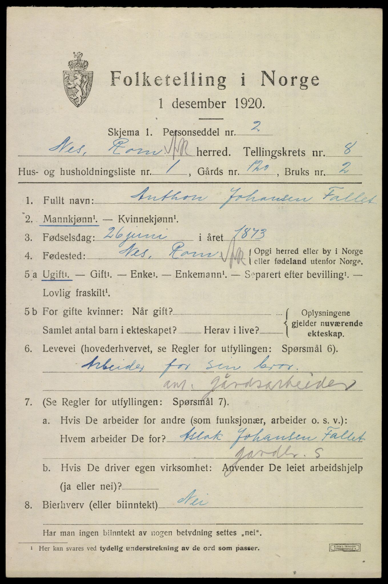 SAO, 1920 census for Nes, 1920, p. 9342