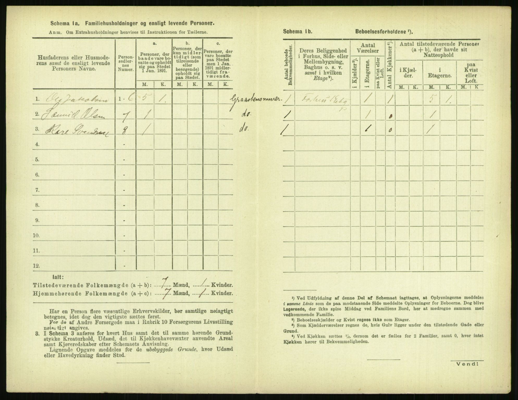 RA, 1891 census for 0806 Skien, 1891, p. 665