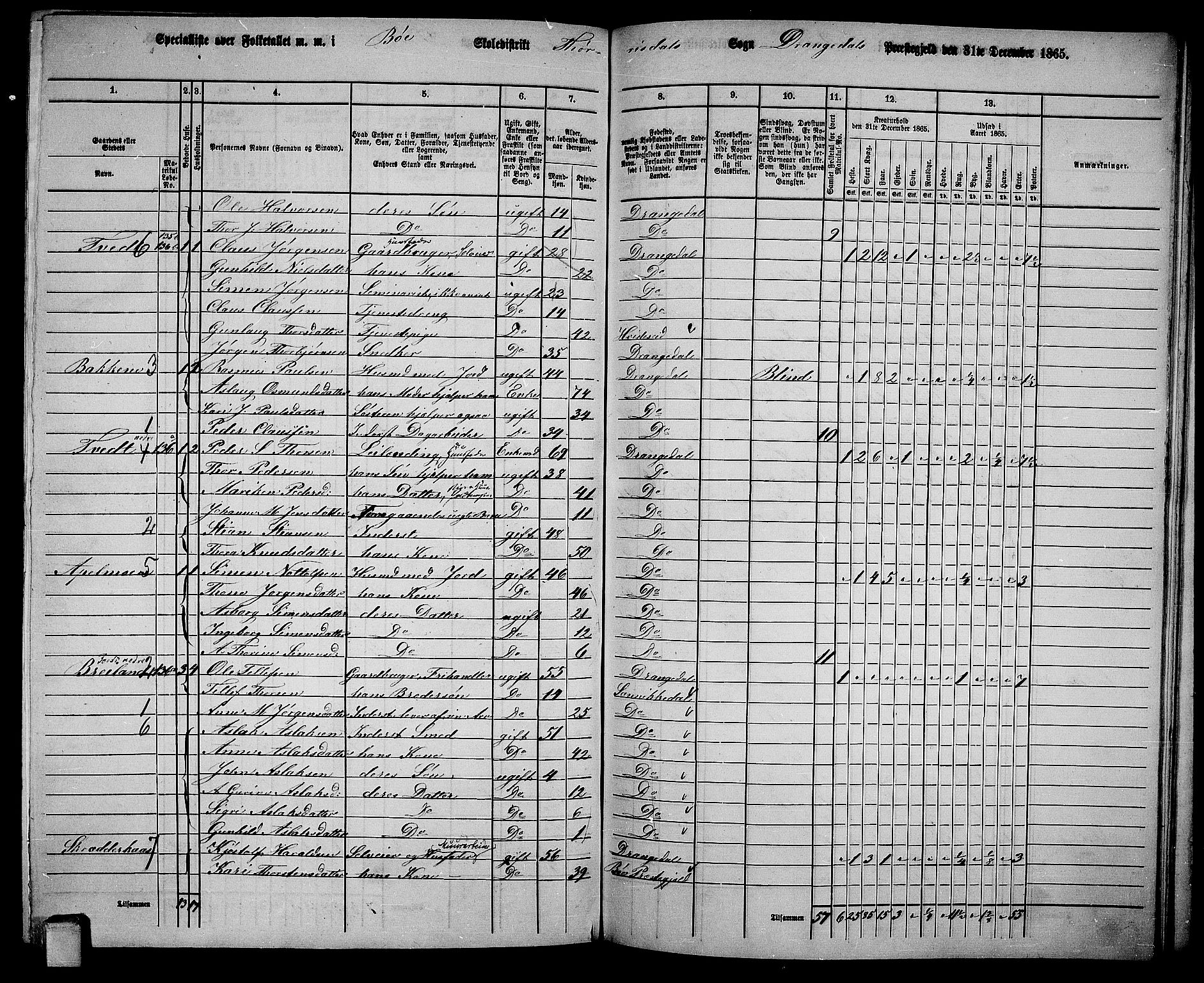 RA, 1865 census for Drangedal, 1865, p. 113