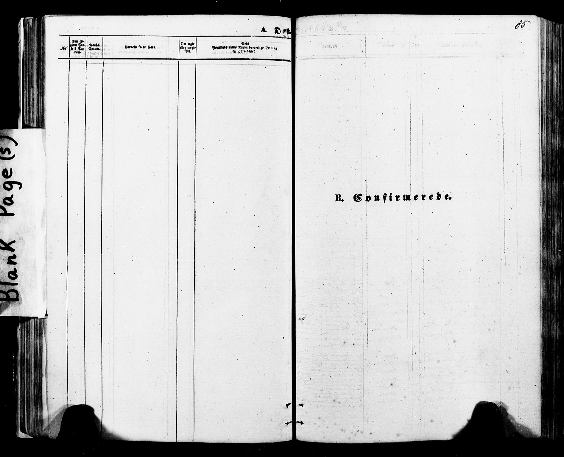 Ministerialprotokoller, klokkerbøker og fødselsregistre - Nordland, SAT/A-1459/897/L1397: Parish register (official) no. 897A05 /1, 1867-1880, p. 85