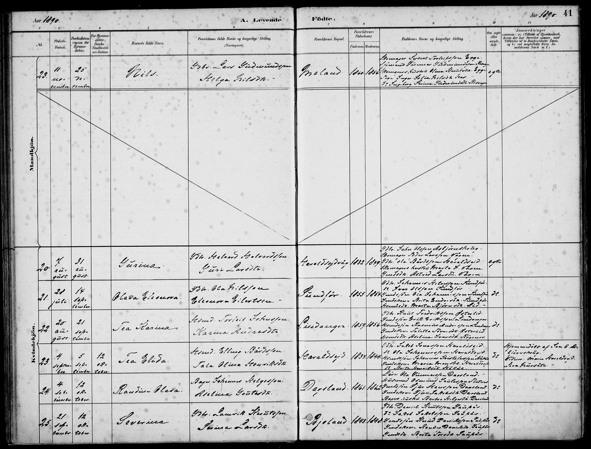 Skjold sokneprestkontor, SAST/A-101847/H/Ha/Haa/L0010: Parish register (official) no. A 10, 1882-1897, p. 41