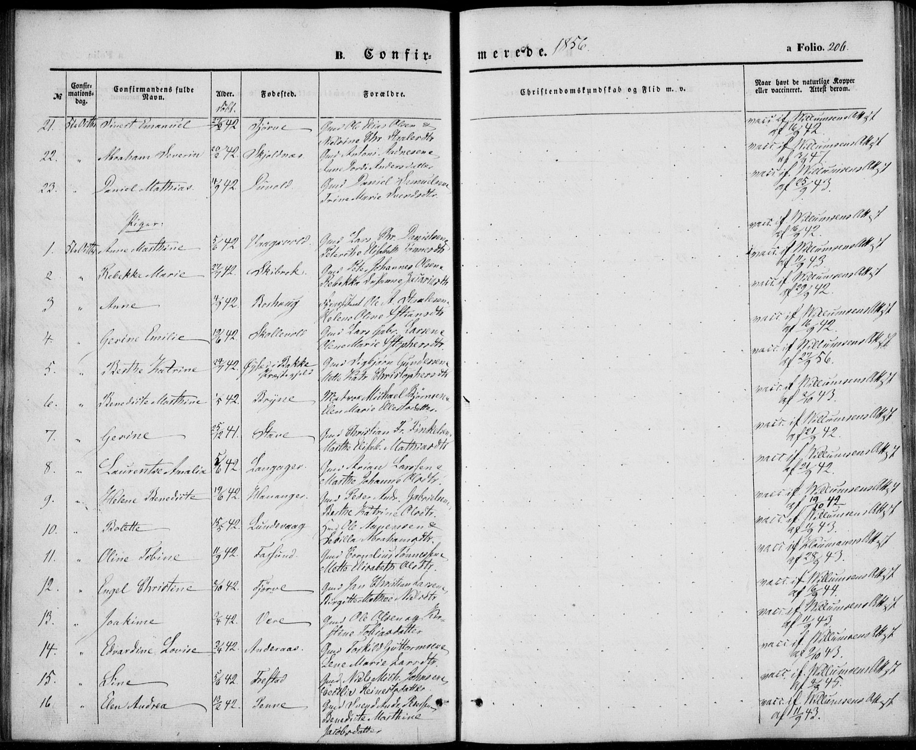 Lista sokneprestkontor, AV/SAK-1111-0027/F/Fb/L0002: Parish register (copy) no. B 2, 1847-1862, p. 206