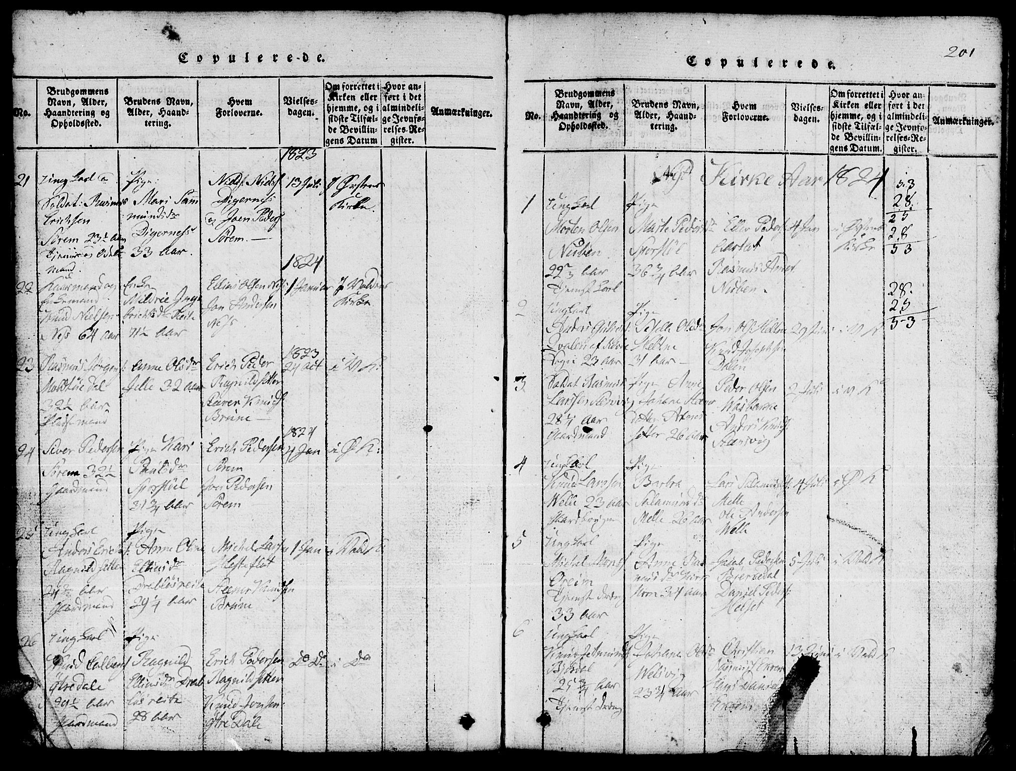 Ministerialprotokoller, klokkerbøker og fødselsregistre - Møre og Romsdal, AV/SAT-A-1454/511/L0155: Parish register (copy) no. 511C01, 1817-1829, p. 201