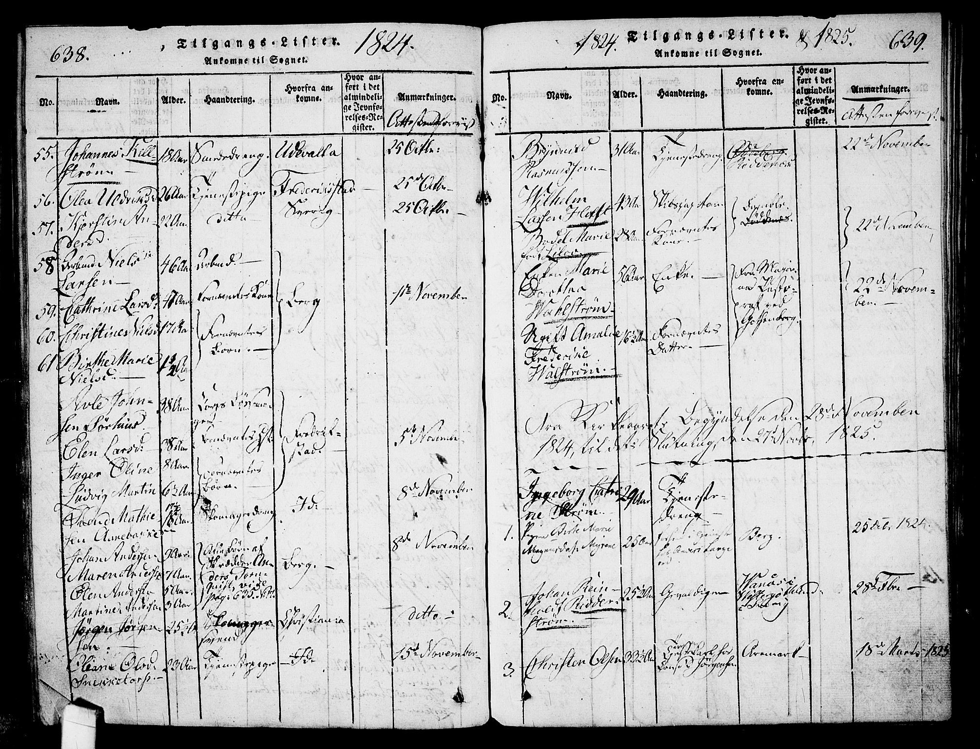 Halden prestekontor Kirkebøker, SAO/A-10909/G/Ga/L0001: Parish register (copy) no. 1, 1815-1833, p. 638-639