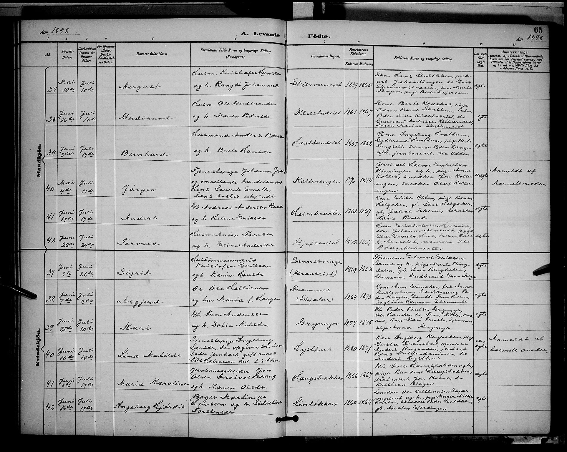 Gran prestekontor, AV/SAH-PREST-112/H/Ha/Hab/L0005: Parish register (copy) no. 5, 1892-1900, p. 65
