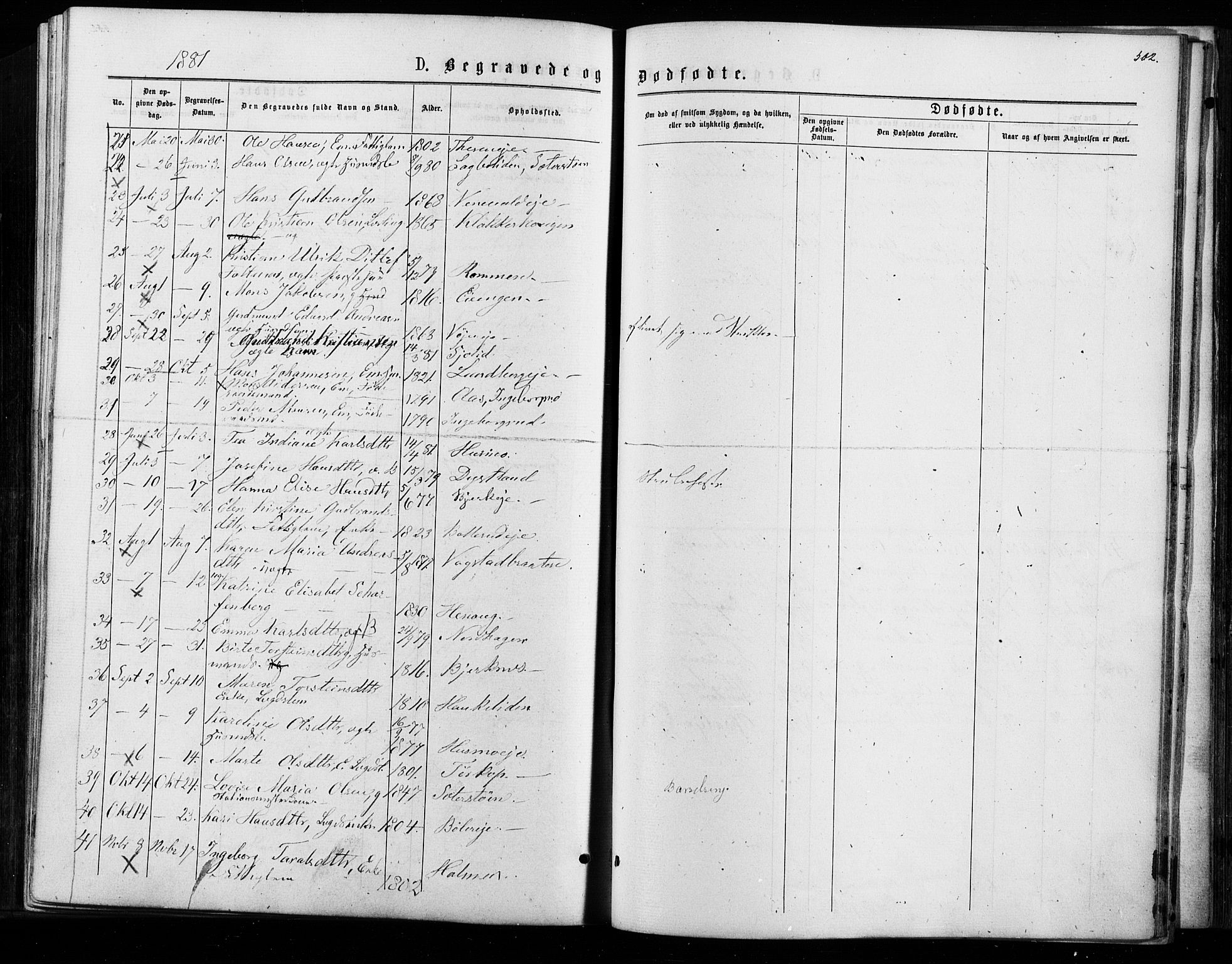 Nes prestekontor Kirkebøker, AV/SAO-A-10410/F/Fa/L0009: Parish register (official) no. I 9, 1875-1882, p. 502