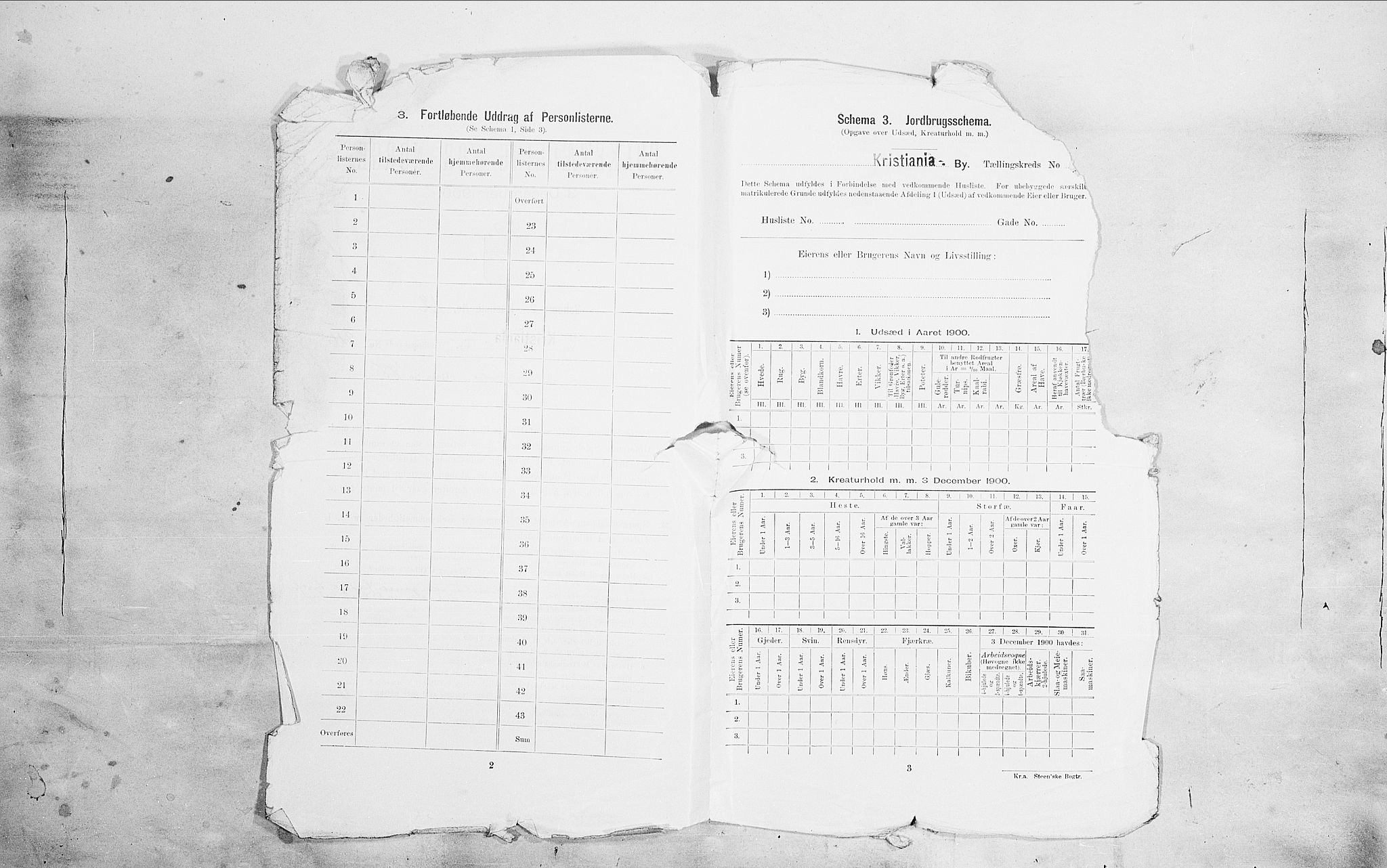 SAO, 1900 census for Kristiania, 1900, p. 88334